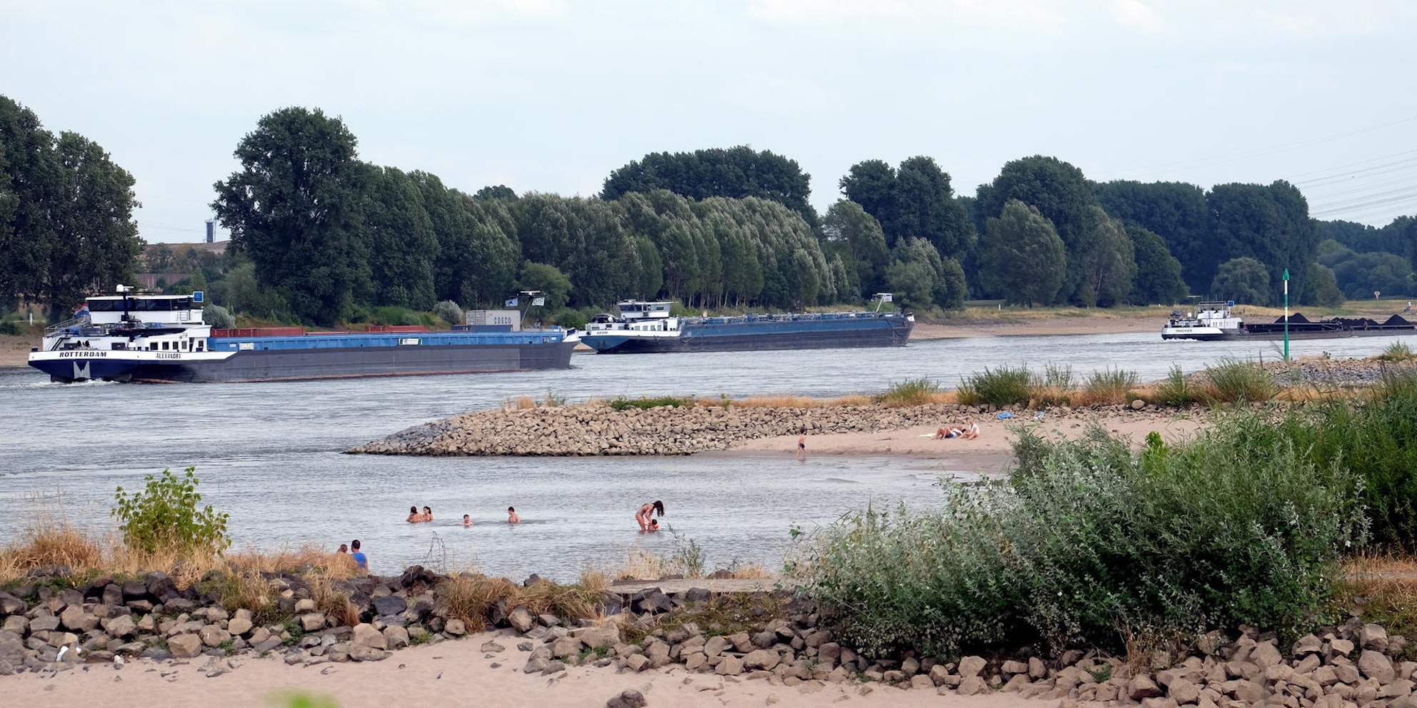 20180730max-langel10_2