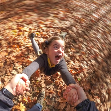 Herbst_Symbol_GettyImages_ArturDebat-529378297