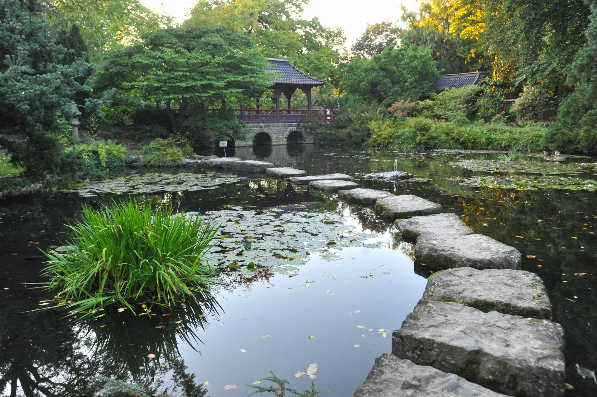 leverkusen-jap-gartenALF_8157_Kopie