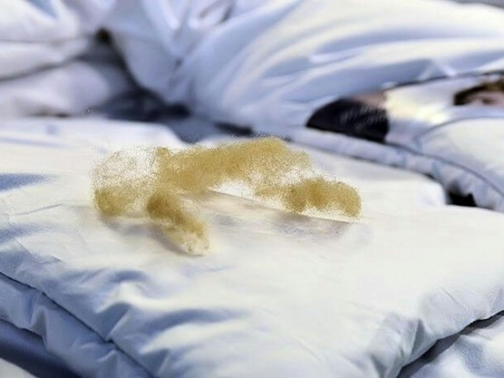 traumkonzept_kamelhaardecke_4_798-461_4