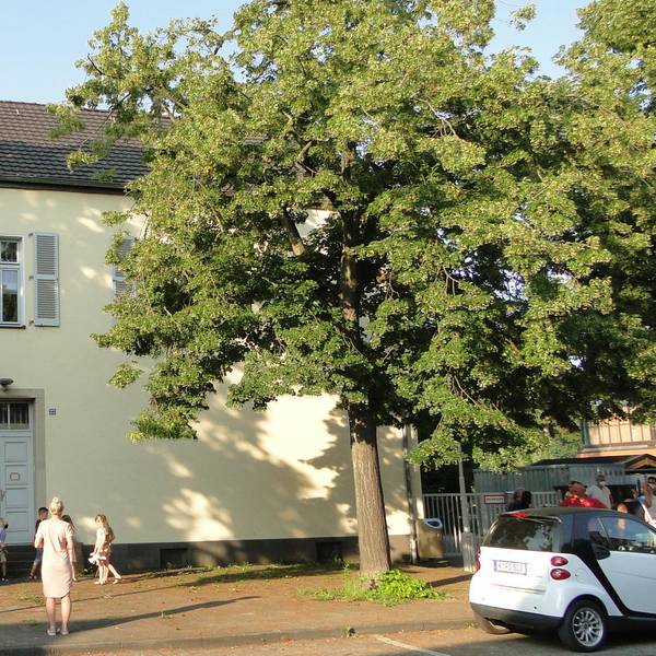 GGS Amandusstraße (4)