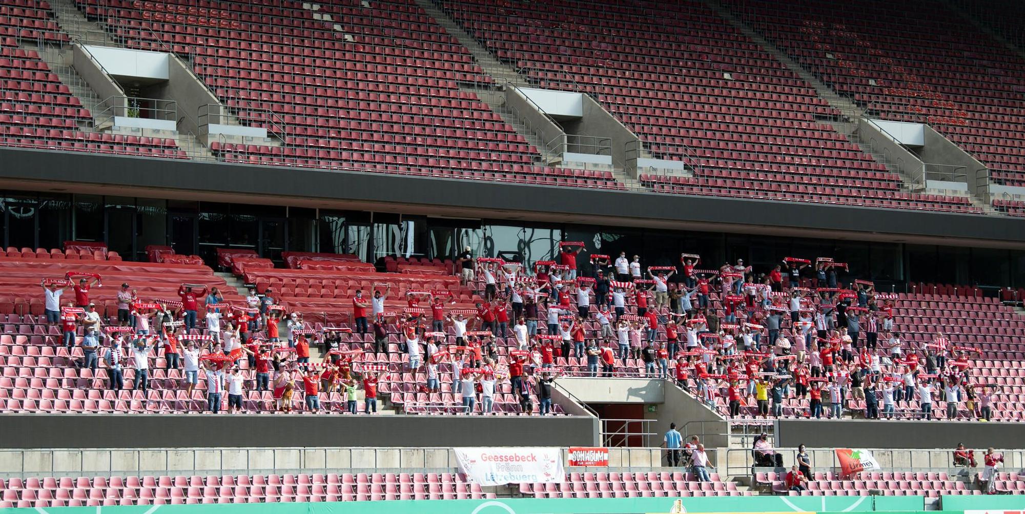 FC Fans