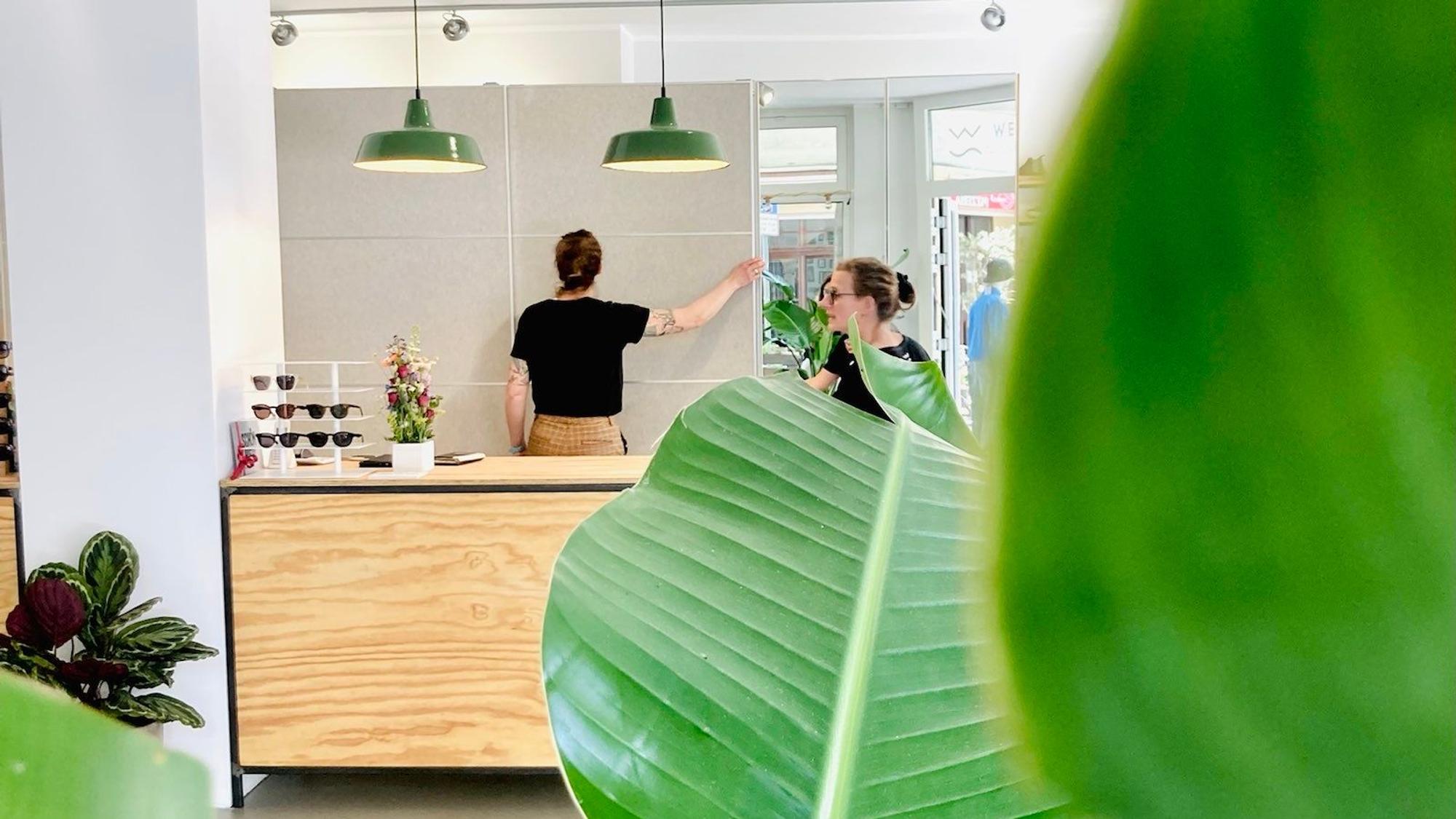 Verkaufstresen in einem Laden, große grüne Pflanzenblätter im Vordergrund