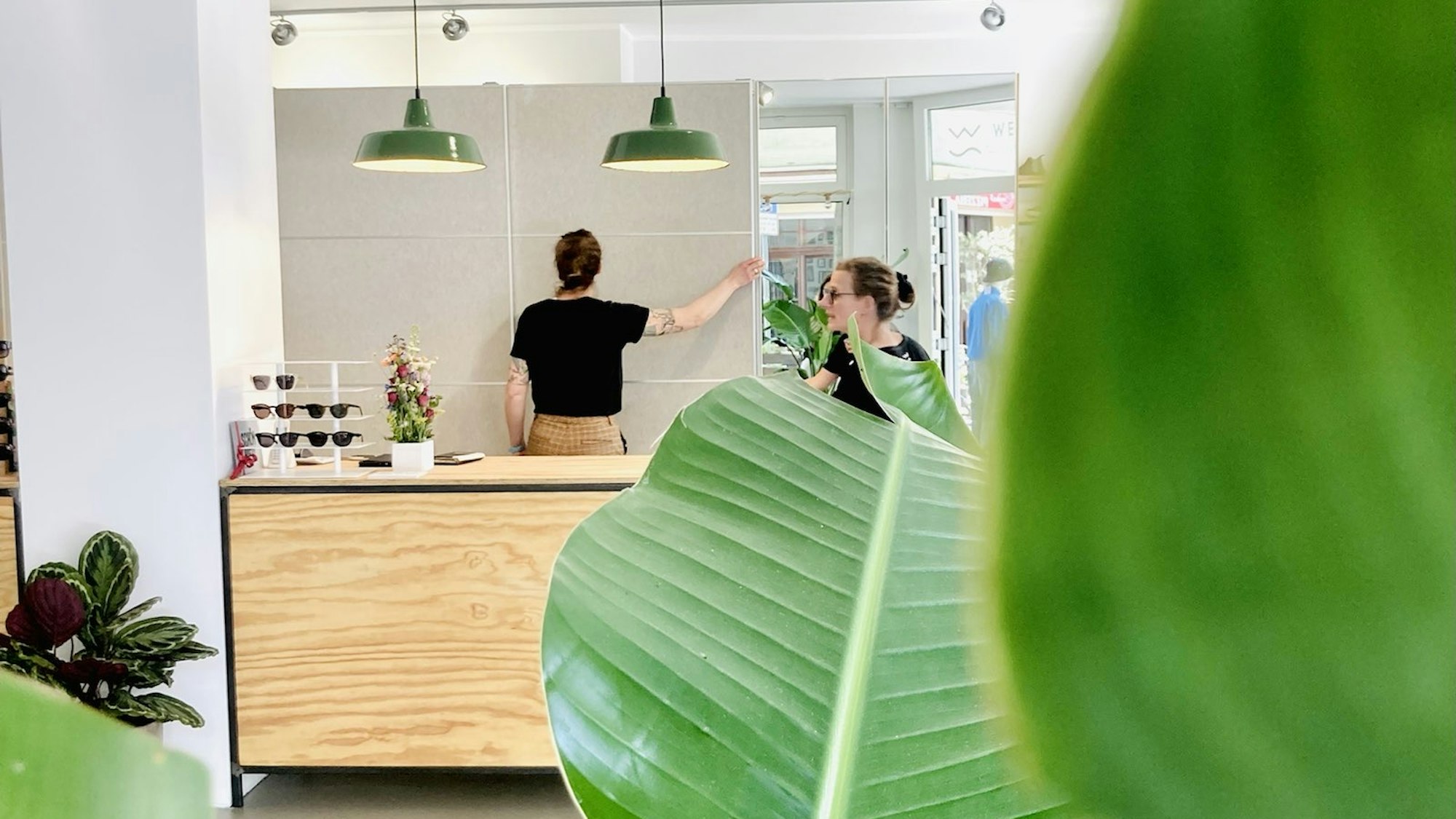 Verkaufstresen in einem Laden, große grüne Pflanzenblätter im Vordergrund