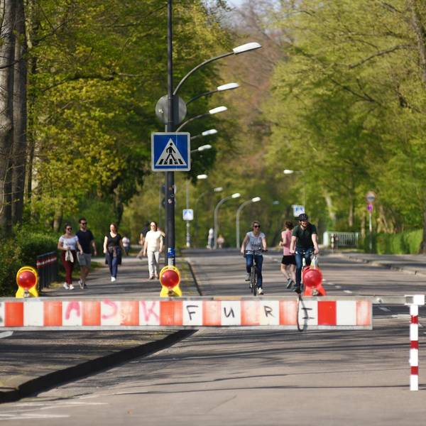 Neuer Inhalt (3)