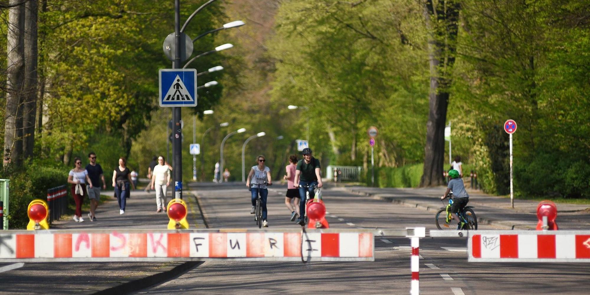 Neuer Inhalt (3)