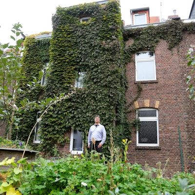 20180410_tb_Dachbegruenung_002