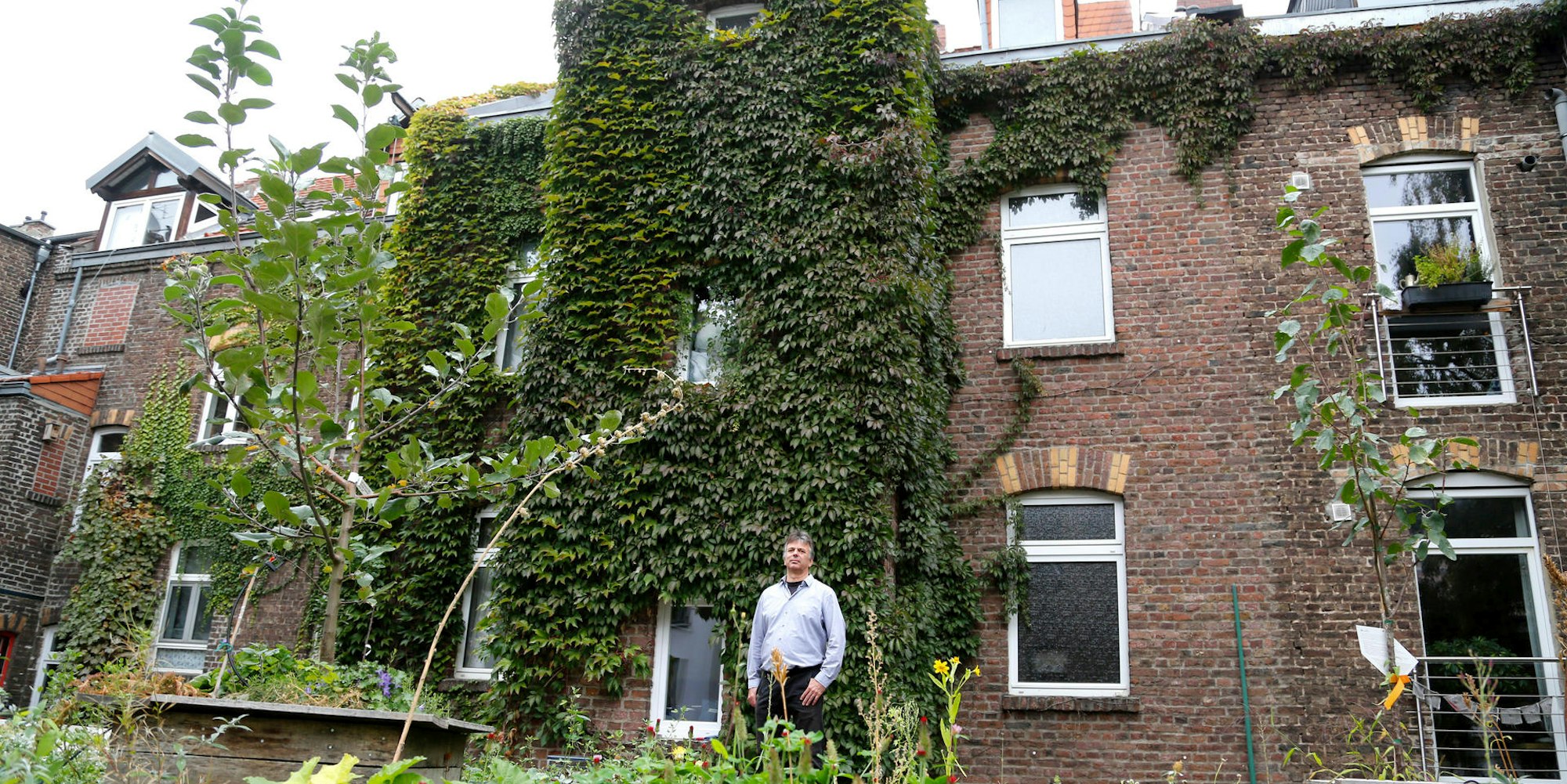 20180410_tb_Dachbegruenung_002