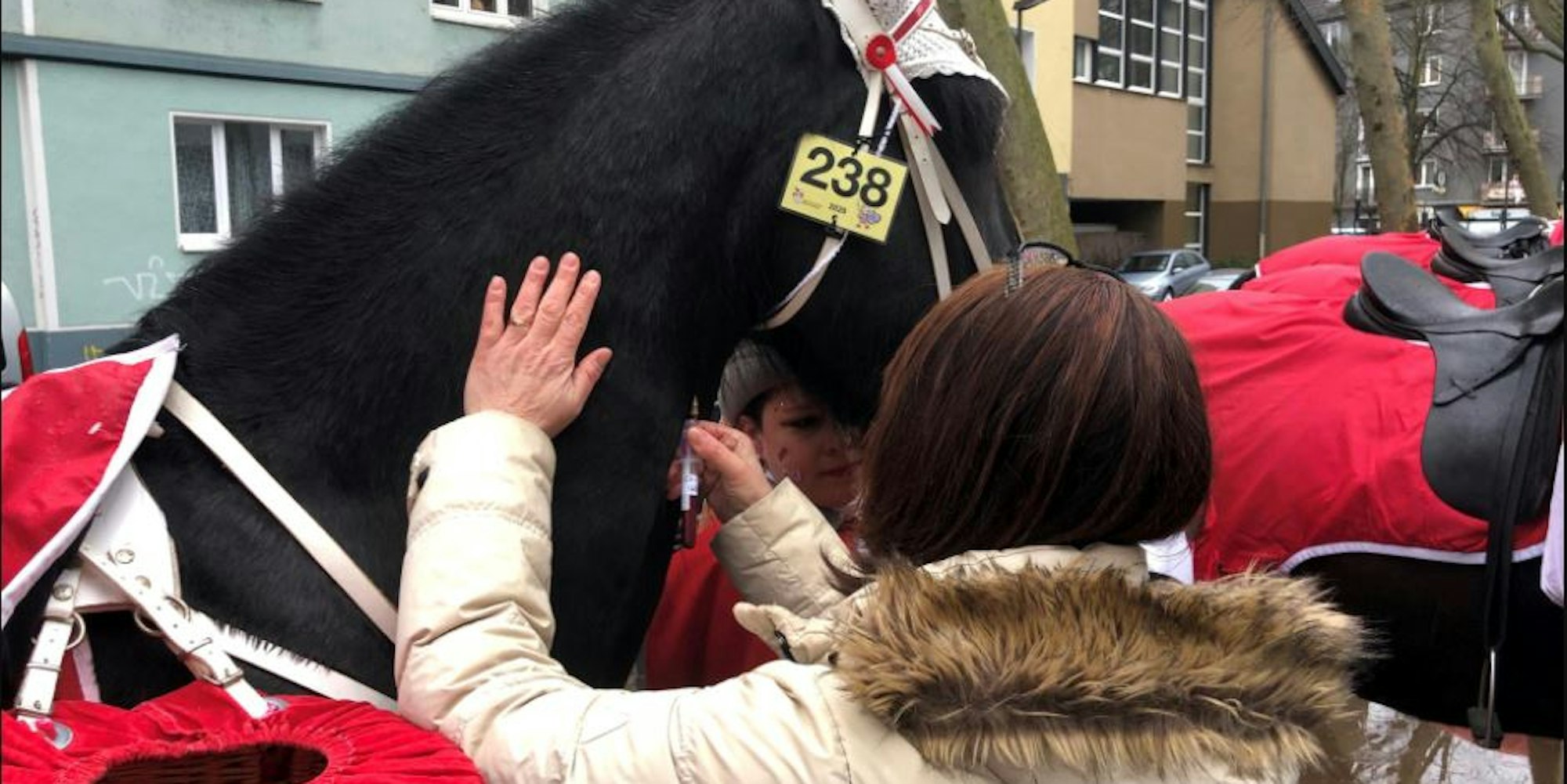 pferdekontrollen-rosenmontagszug002