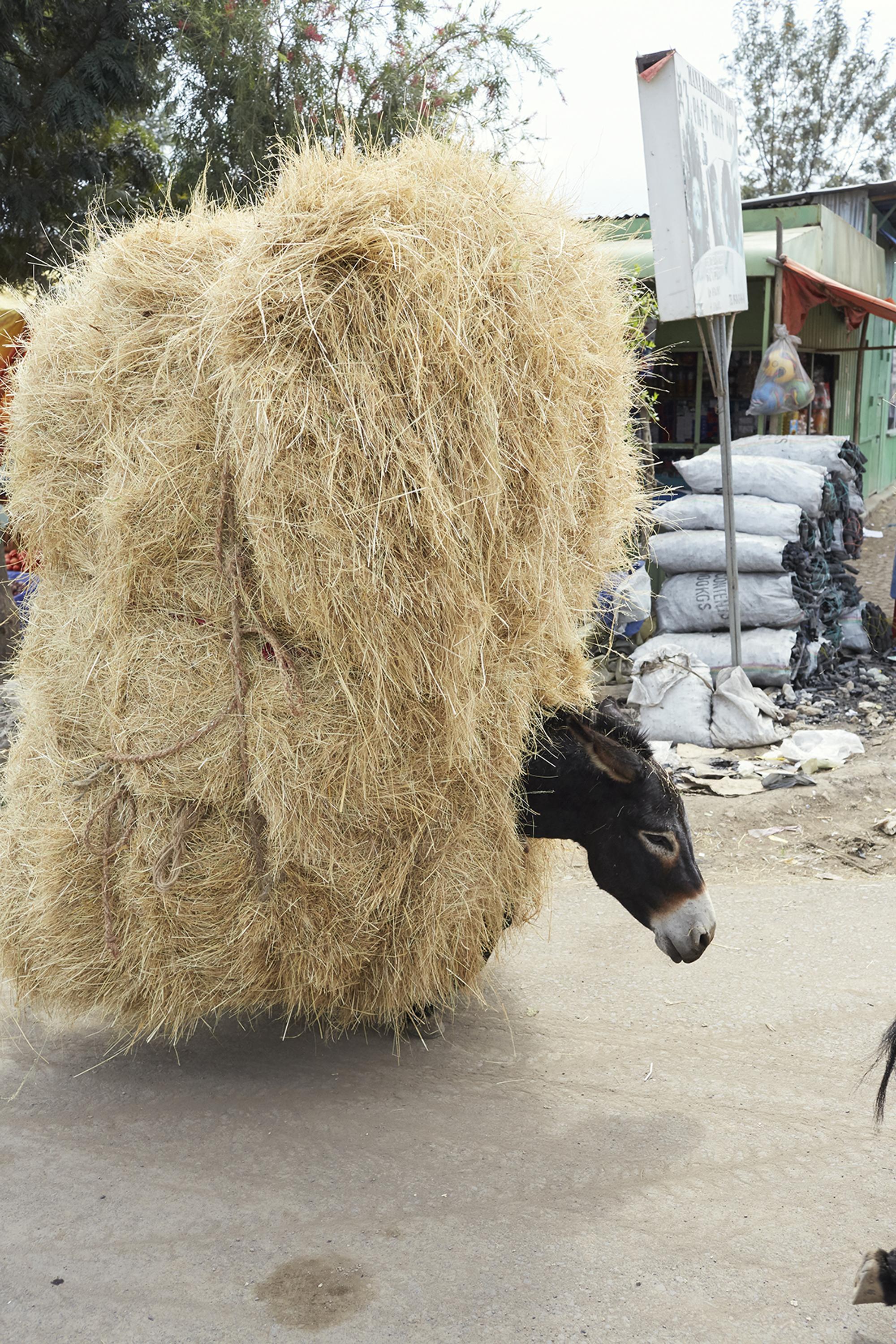 juergen-teller_ITC-ethiopia