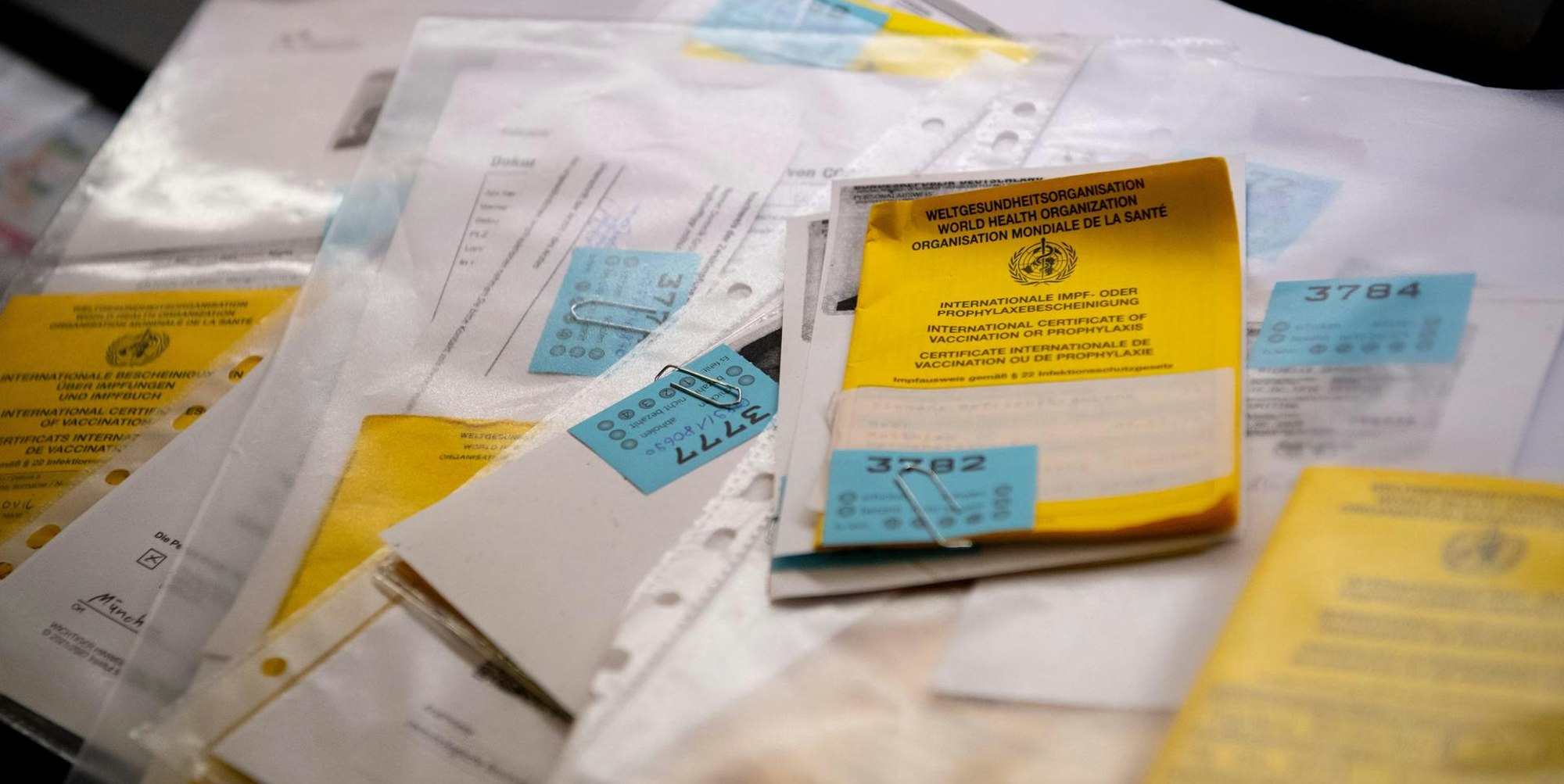 Gefälschter Impfpass dpa