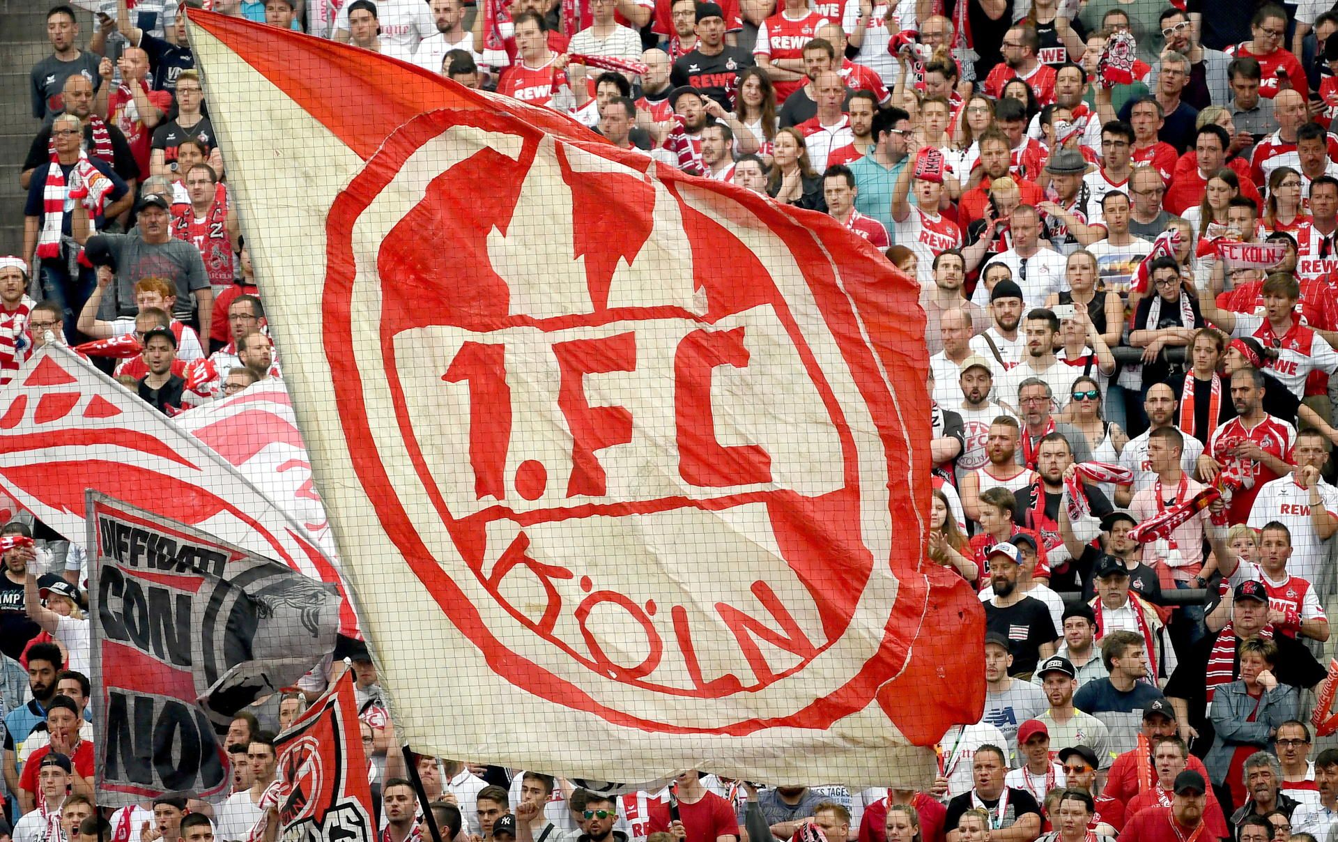 1. fc köln