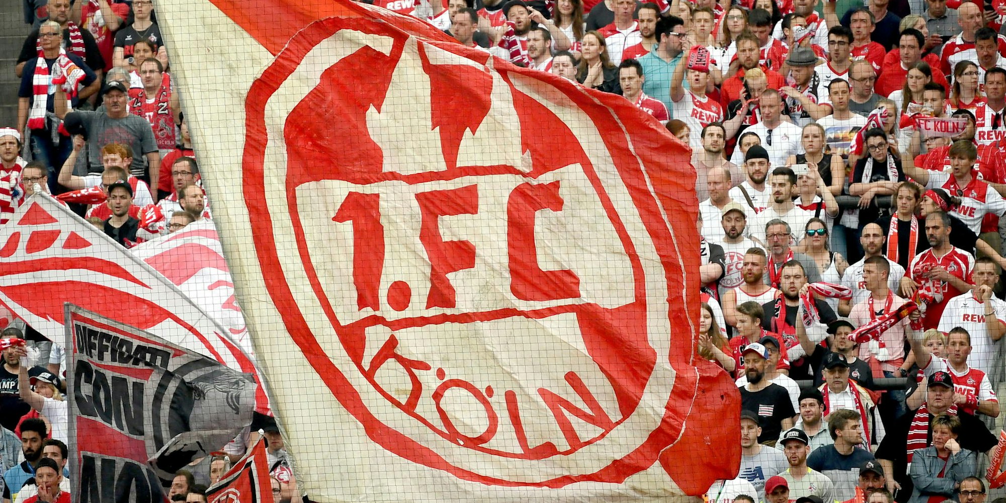 1. fc köln