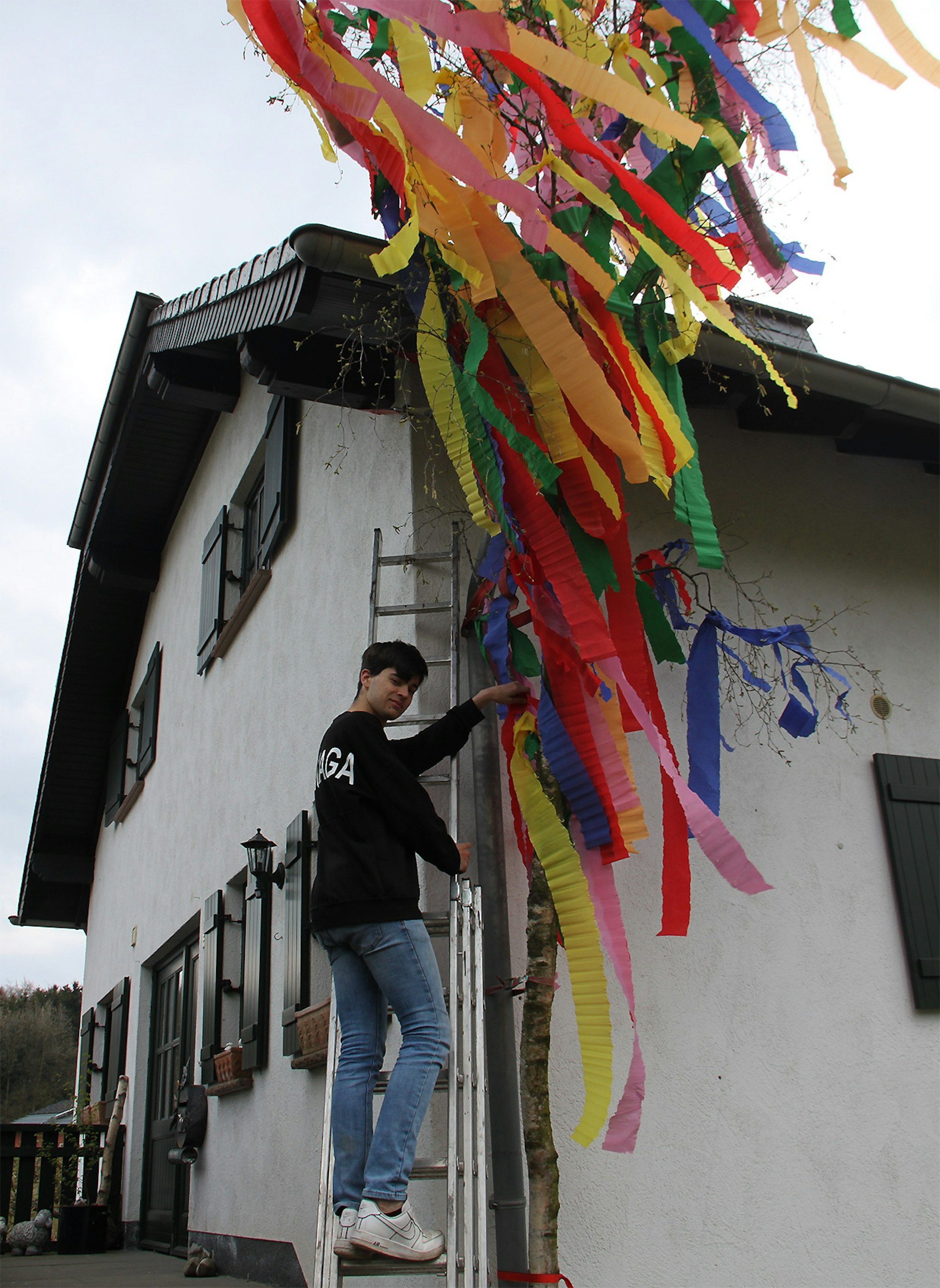 Nico Rothcamp Mülheim Maibaum