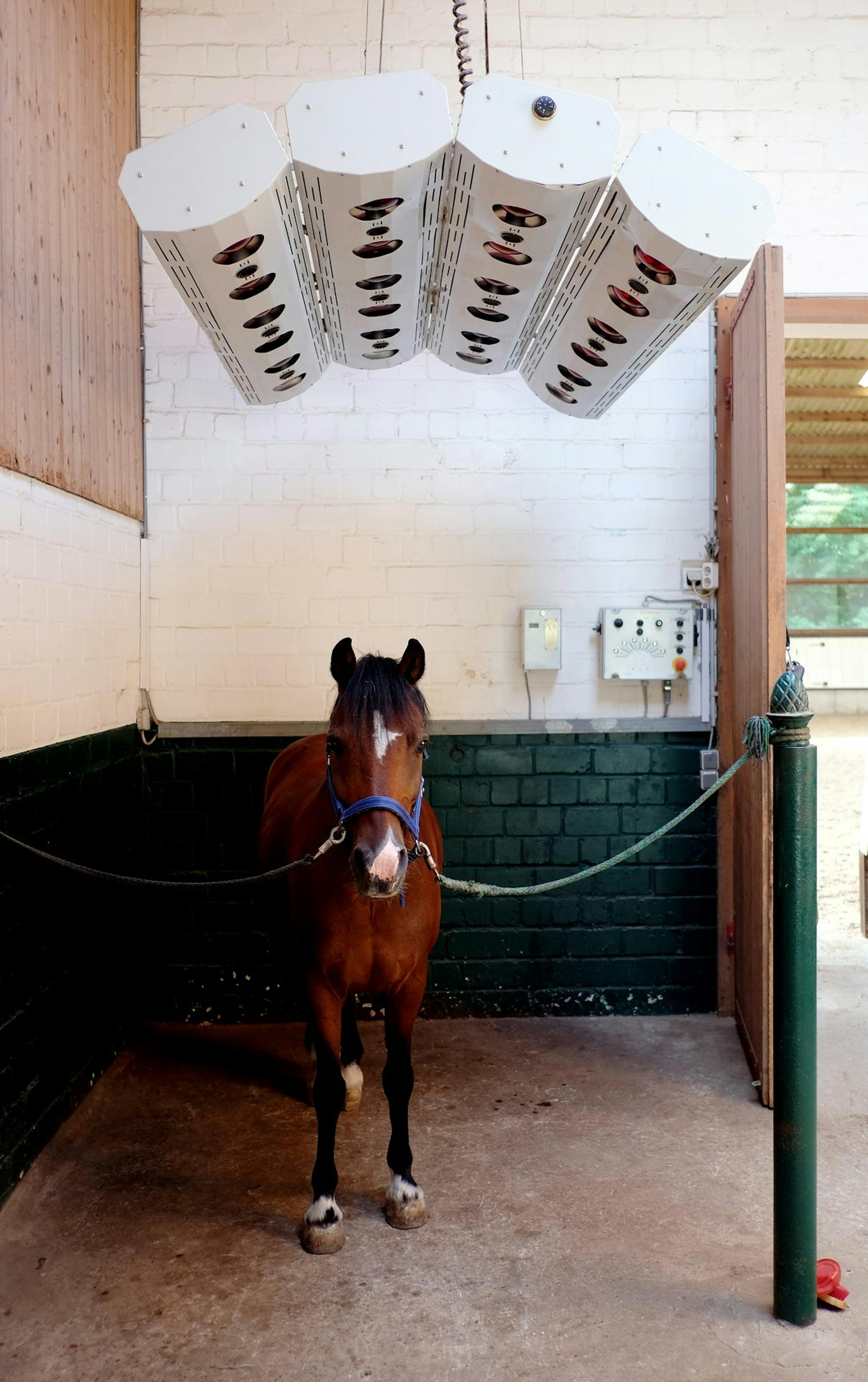 20180713max-strasse21