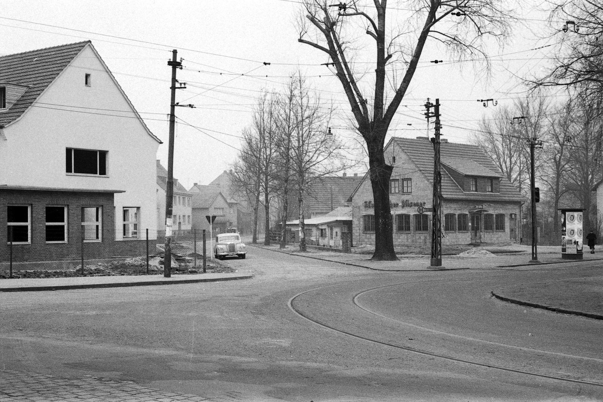 Weiden Romy