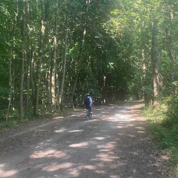 Lena Schmitz Wald