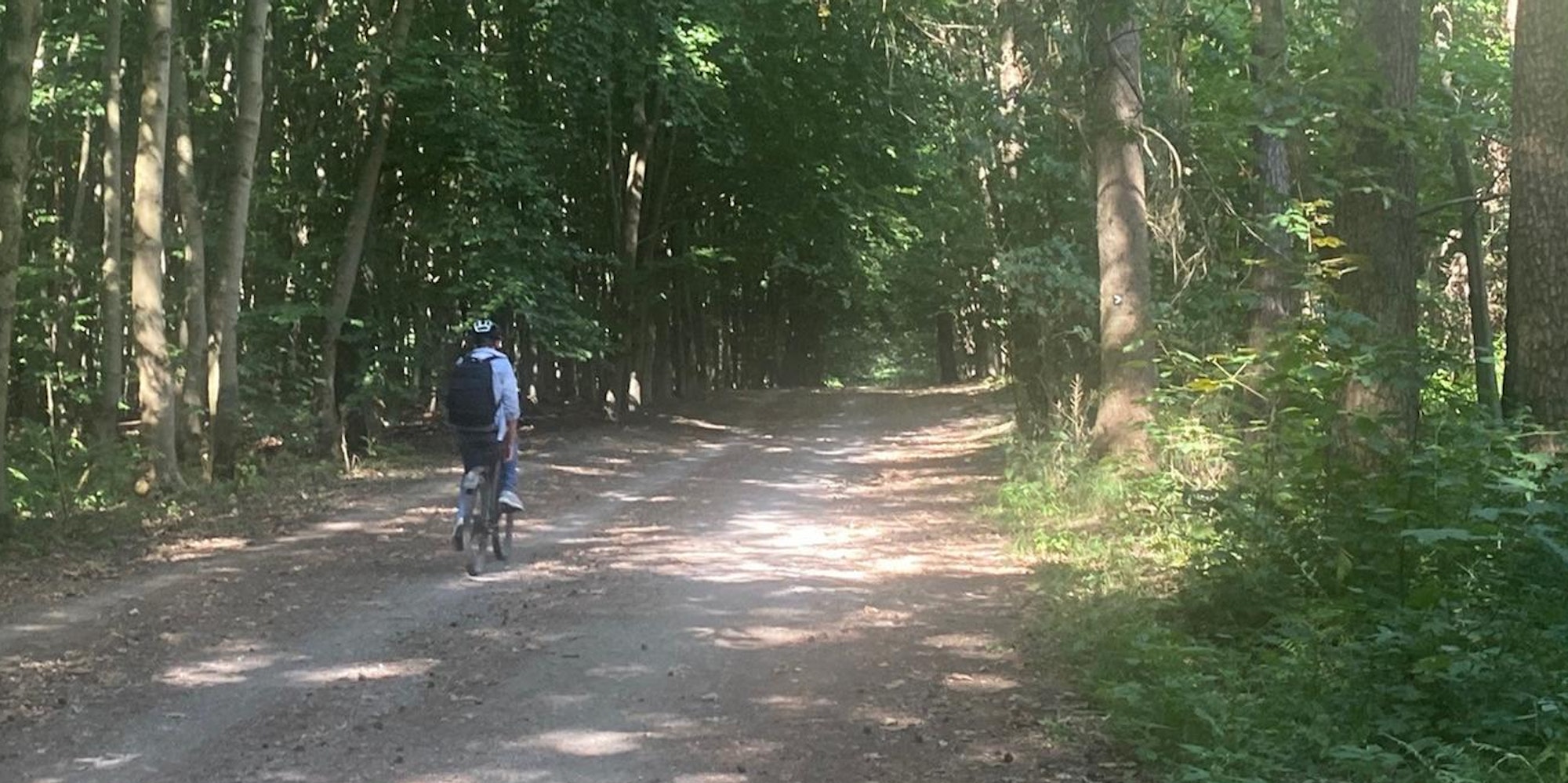Lena Schmitz Wald