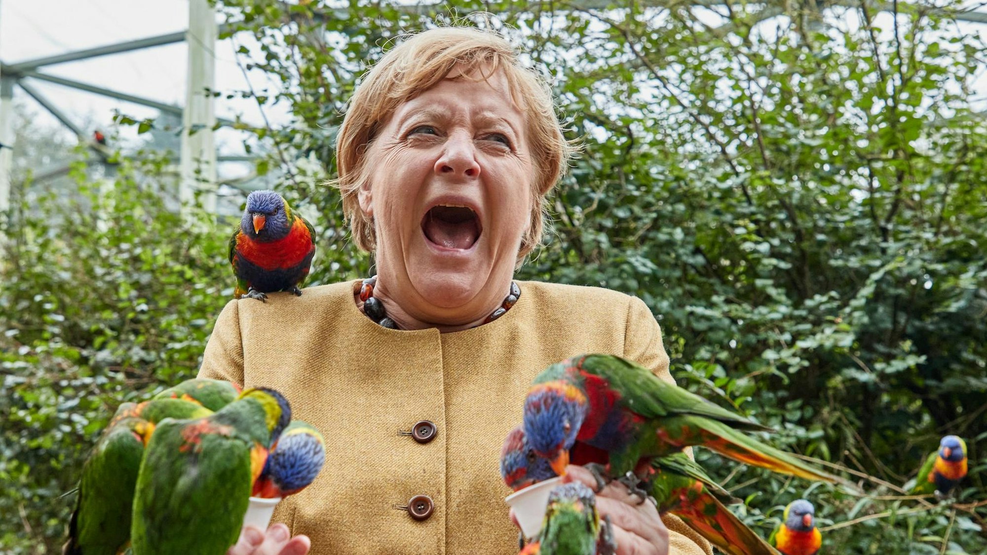 Kanzlerin Angela Merkel füttert australische Loris.