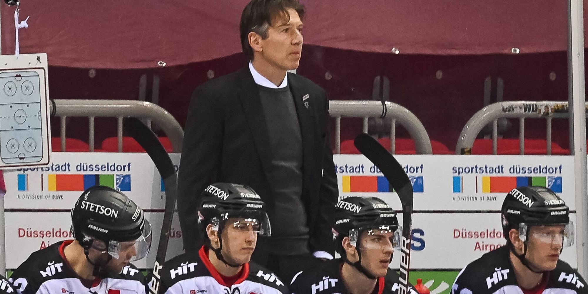 Haie in Weiß