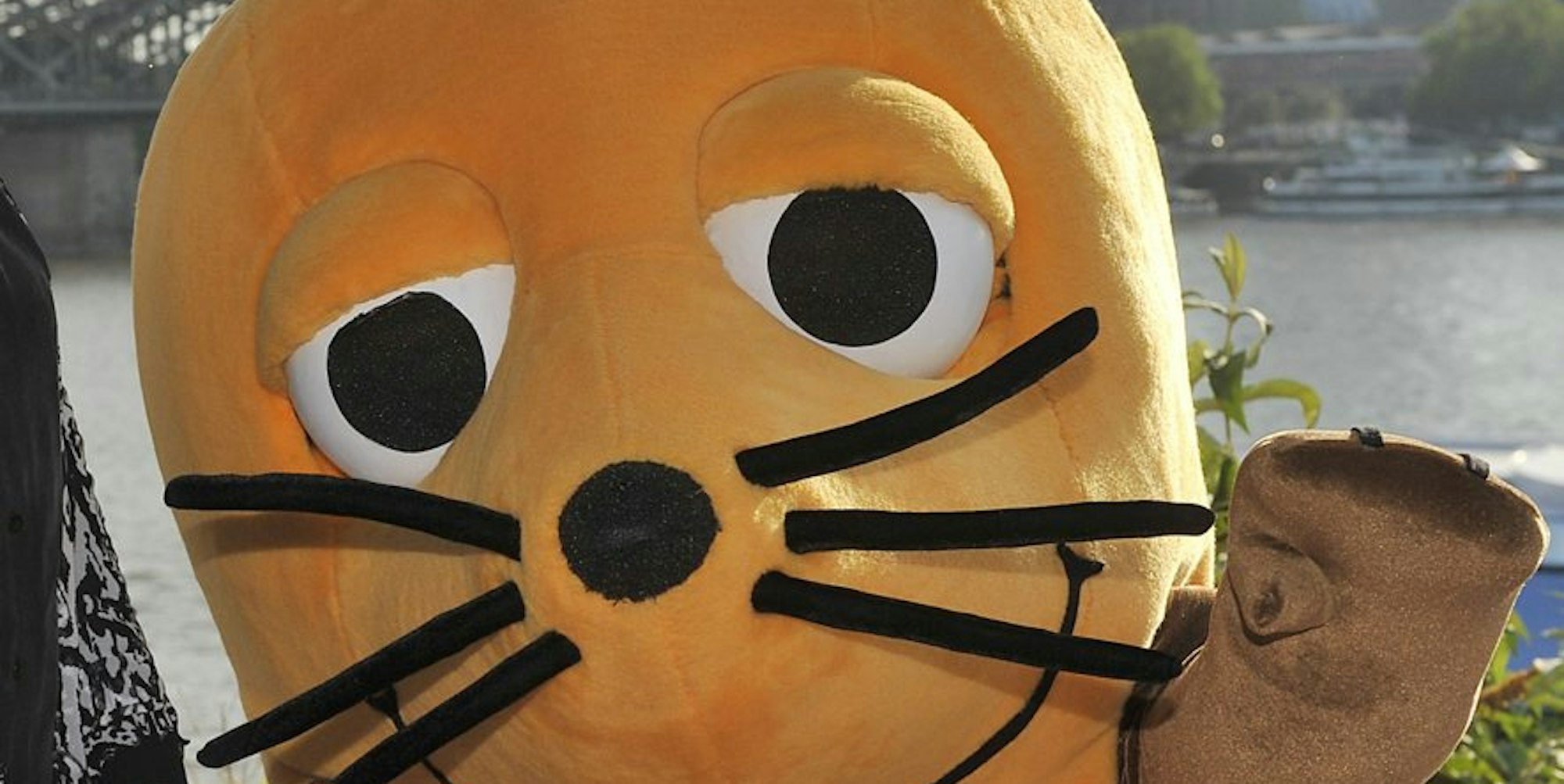 Sendung mit der Maus dpa