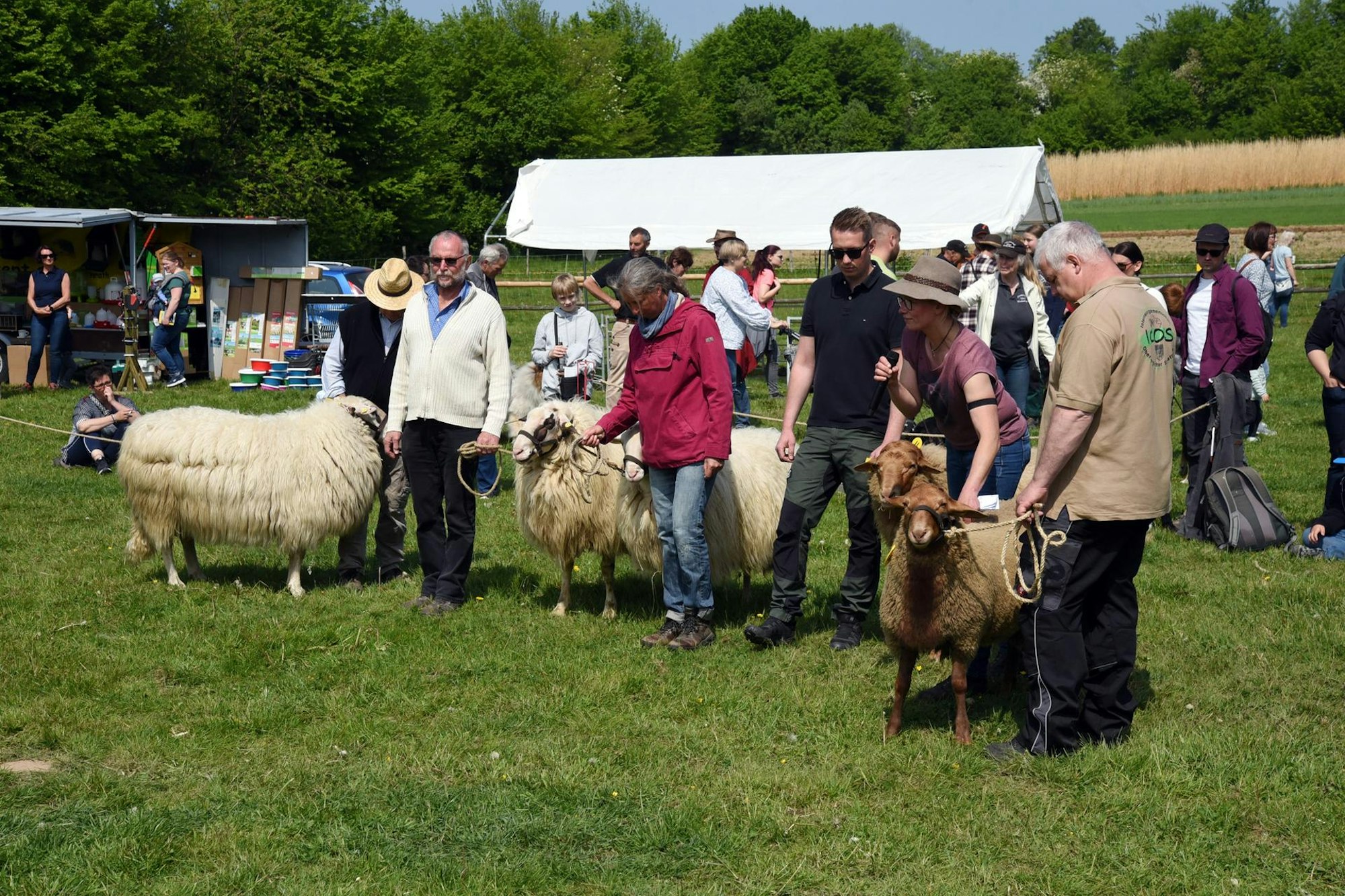 20220508_ds_Schaefertag_FreilichtmuseumLindlar32