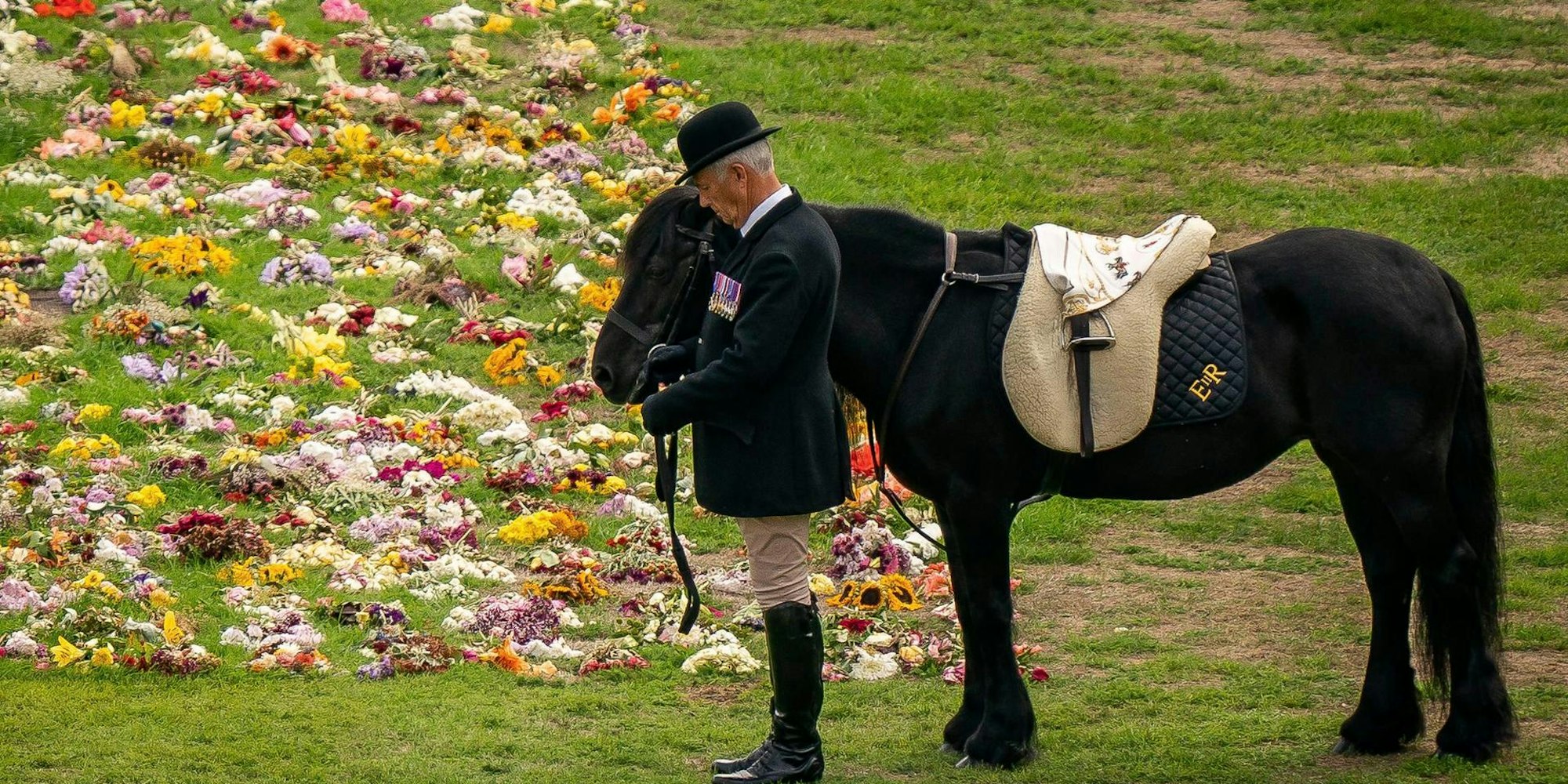 Pony Queen 2009