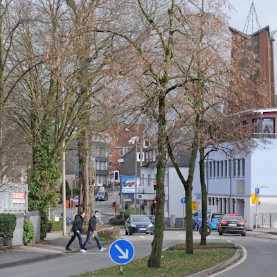 Bäume Baustelle Burscheid_002