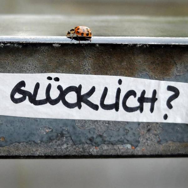 Glück Glücksreport dpa