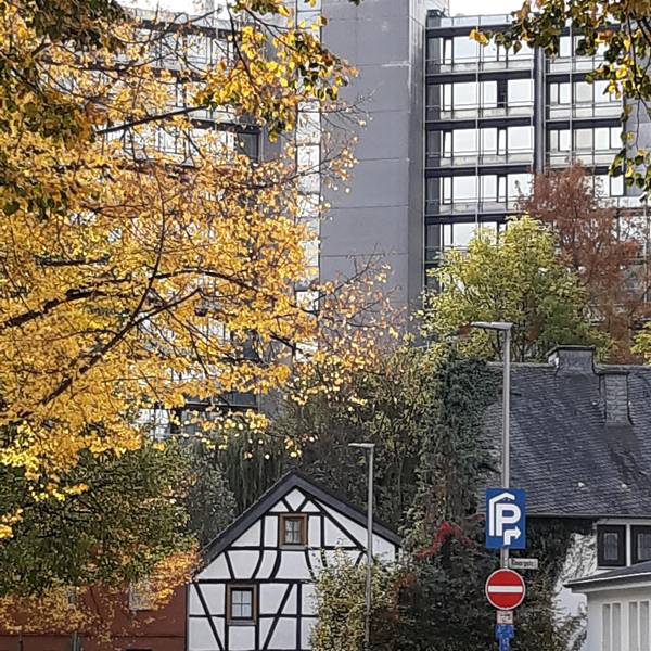 Heimatcheck Ergebnisse Siegburg