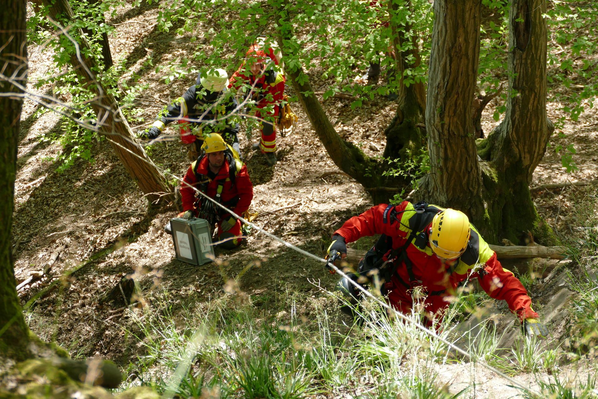 Neuer Inhalt