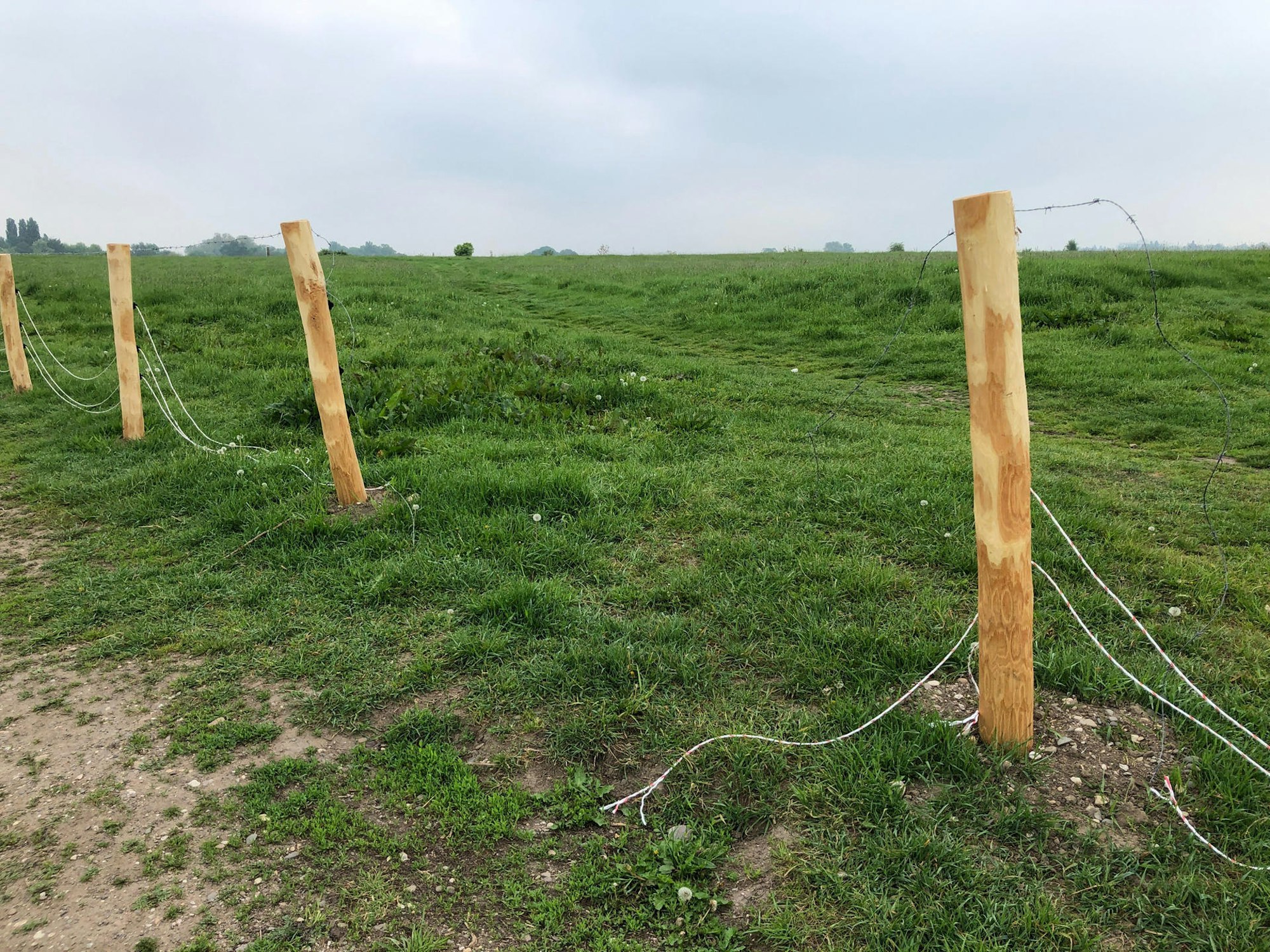 MDS-KSTA-2019-05-07-71-146972499