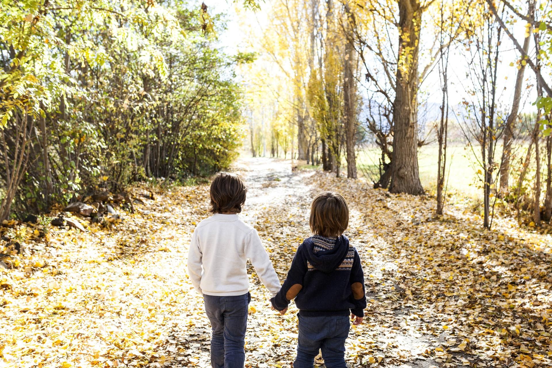 imago Westend61 Herbst Spaziergang