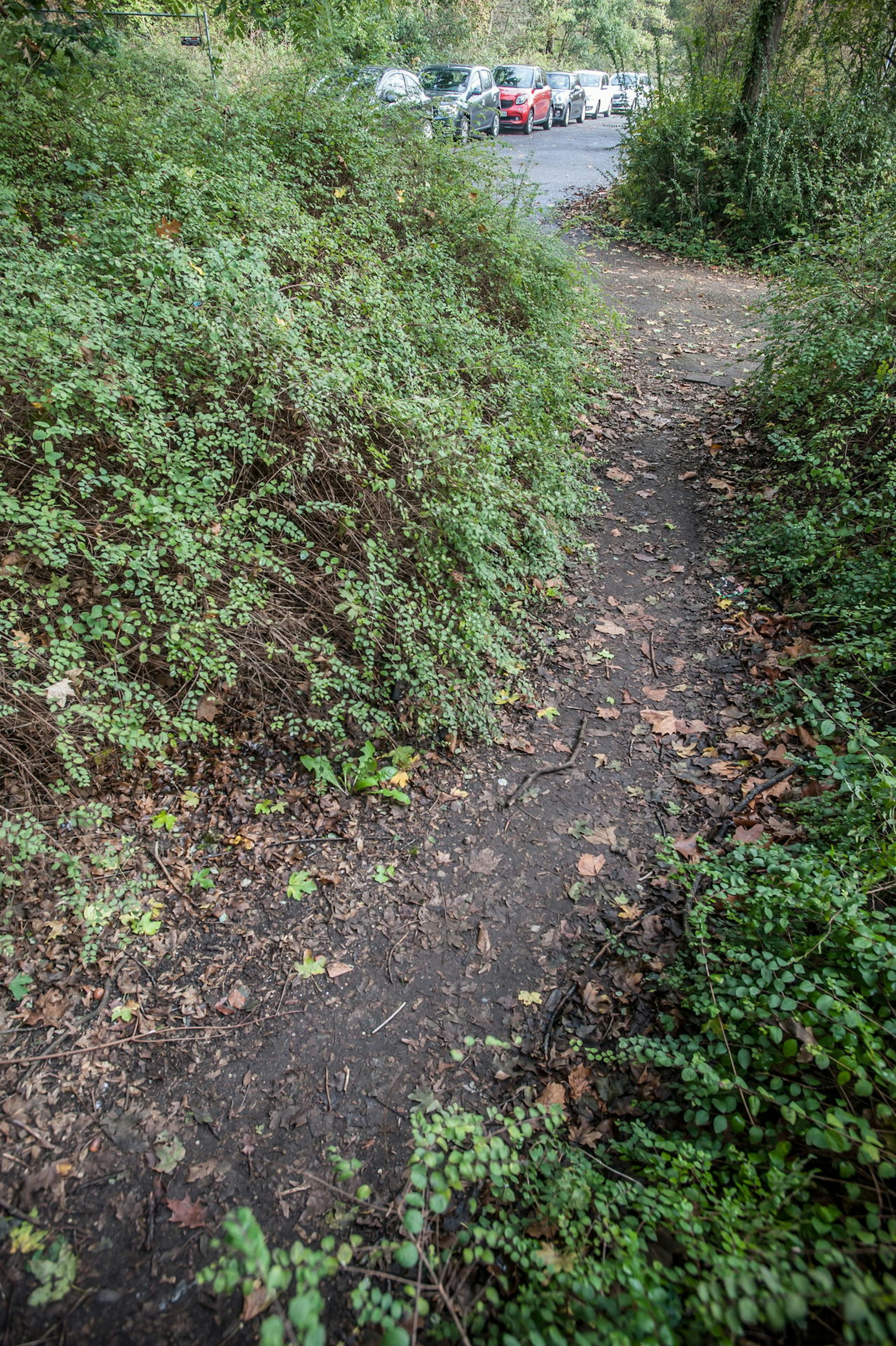 trampelpfad-klinikum-auermuehle-leverkusen_ALF_1245