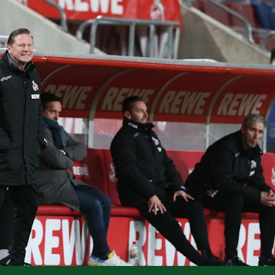 Gisdol Köln gegen Hertha