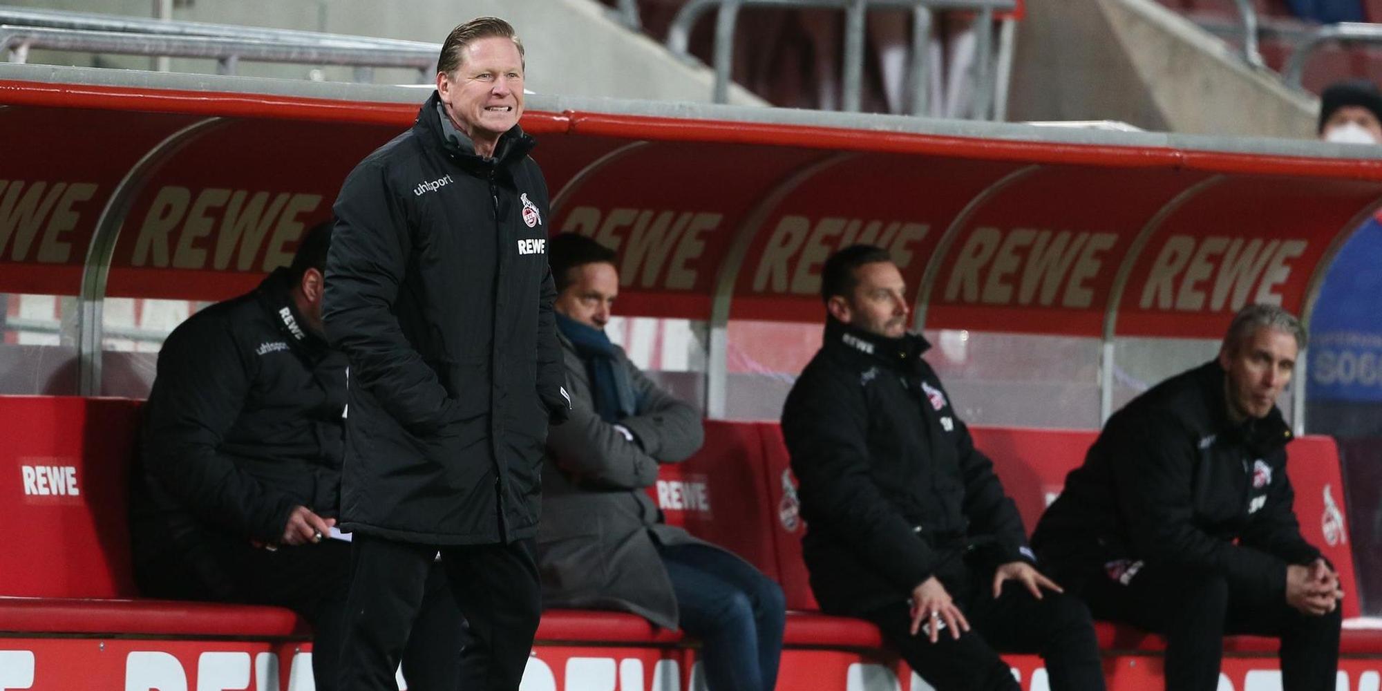 Gisdol Köln gegen Hertha