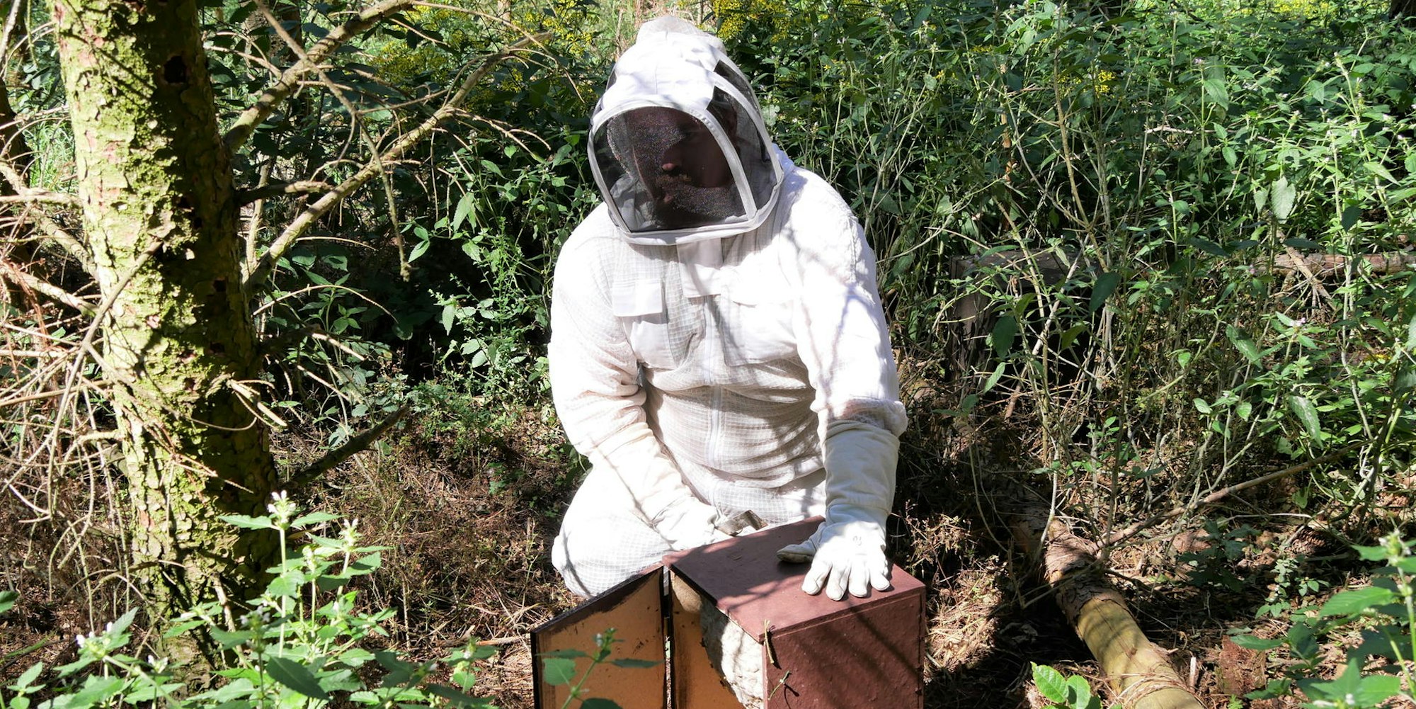 Imker Sascha Theisgen 1