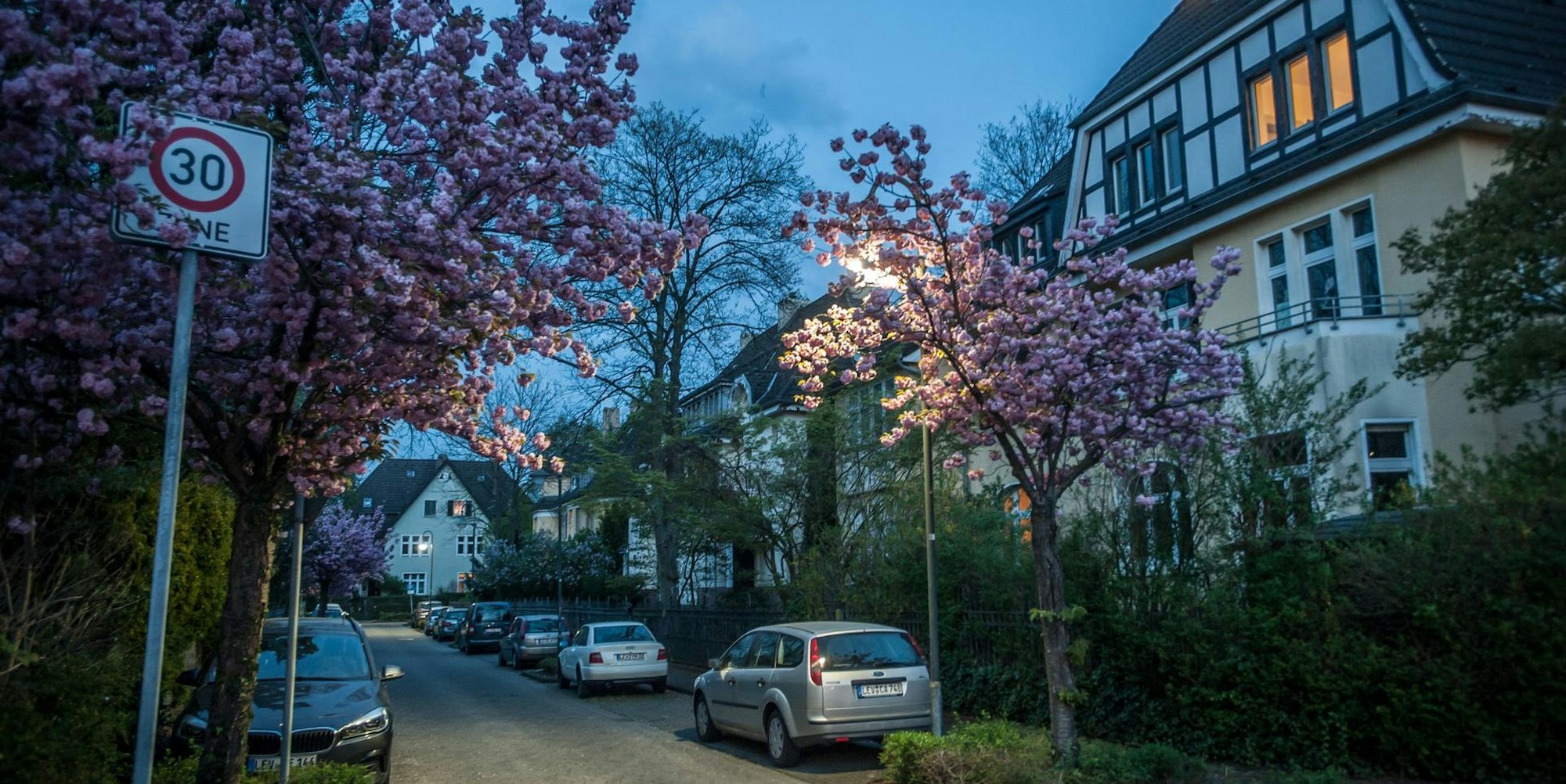 beamtenkolonie_abends_rar_rle_04142022ALF_4920