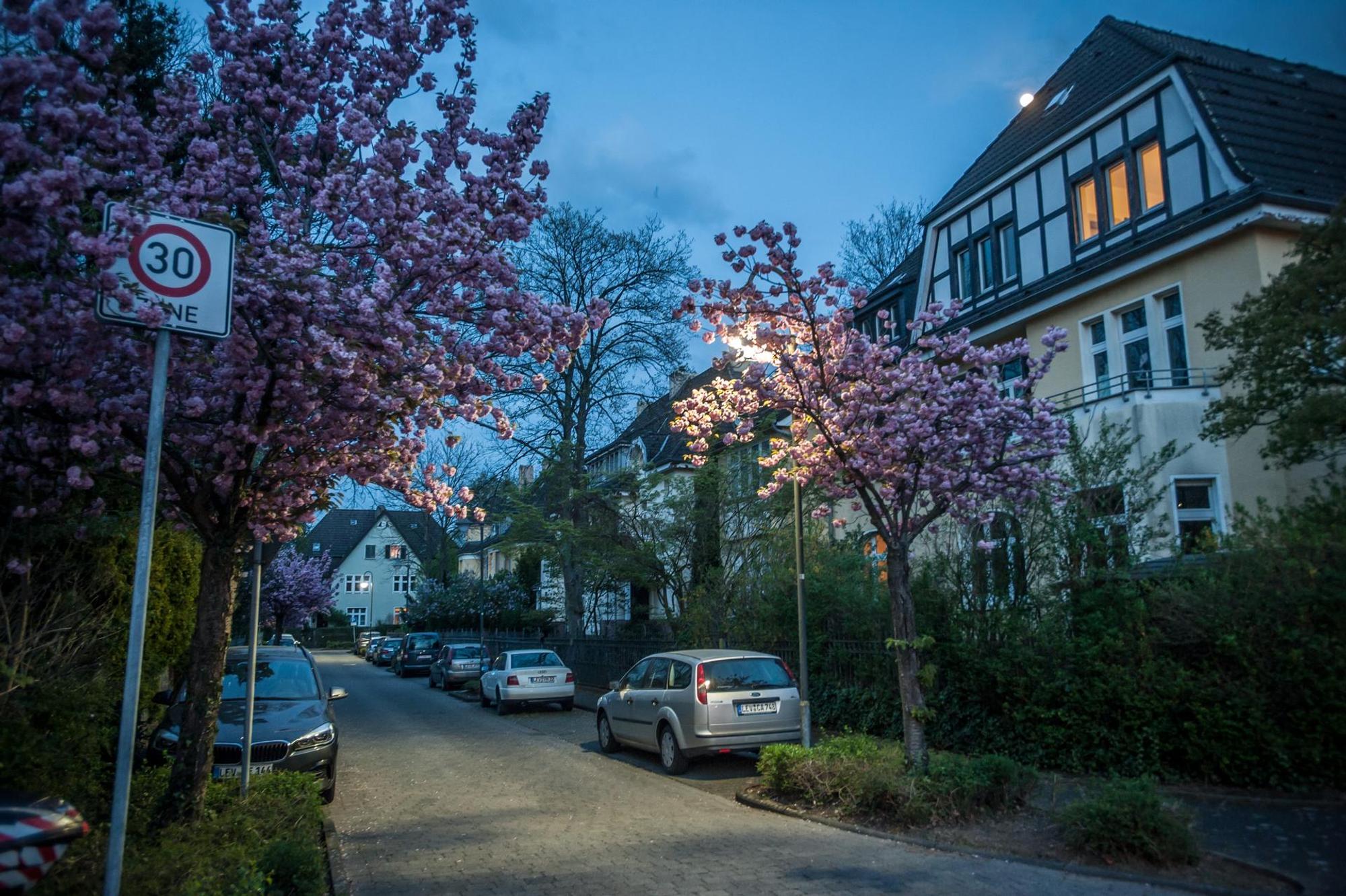 beamtenkolonie_abends_rar_rle_04142022ALF_4920