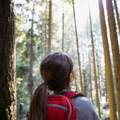 Mädchen Bäume wandern kids on tour
