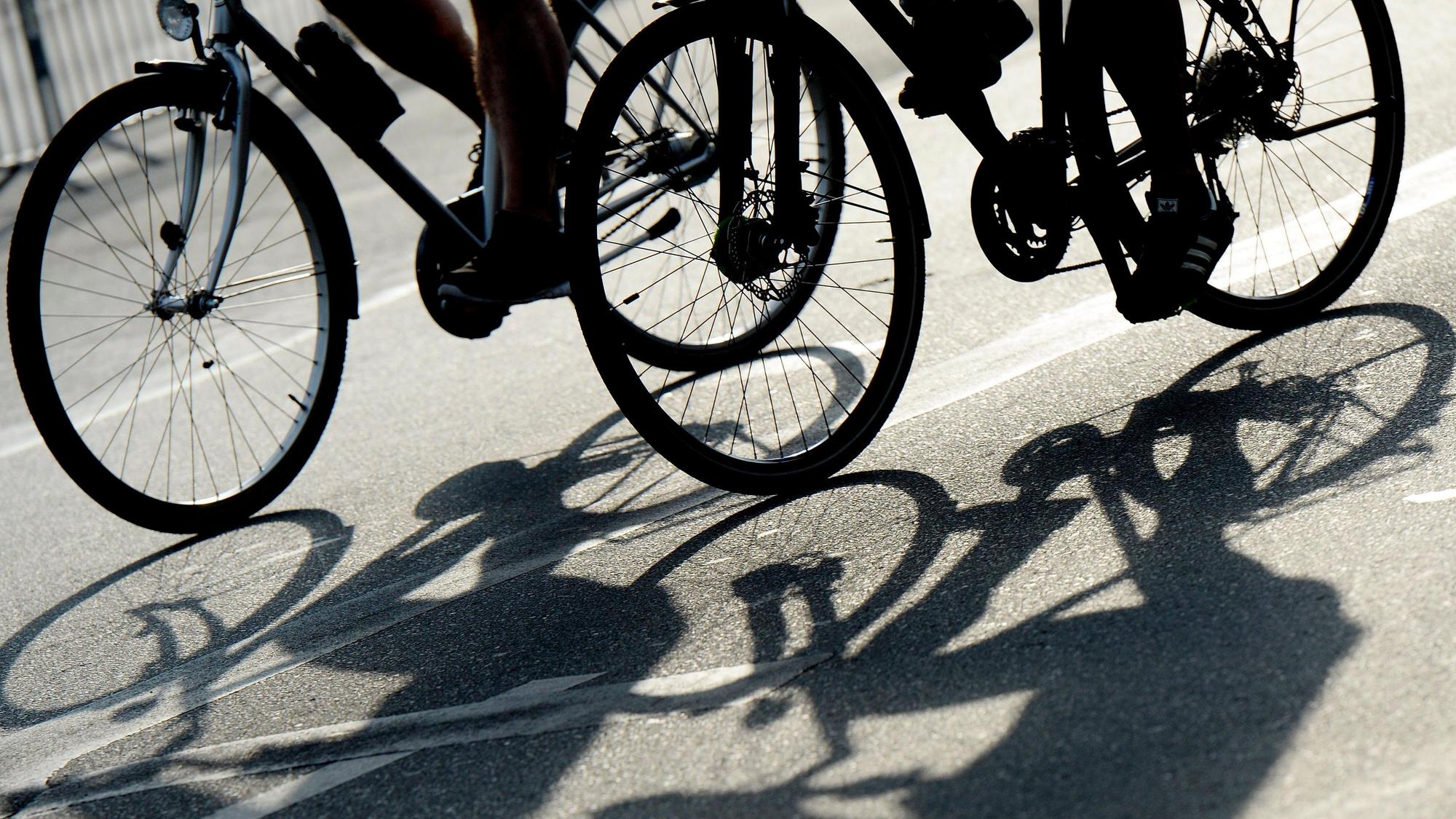 Zwei Fahrradfahrer im Gegenlicht.