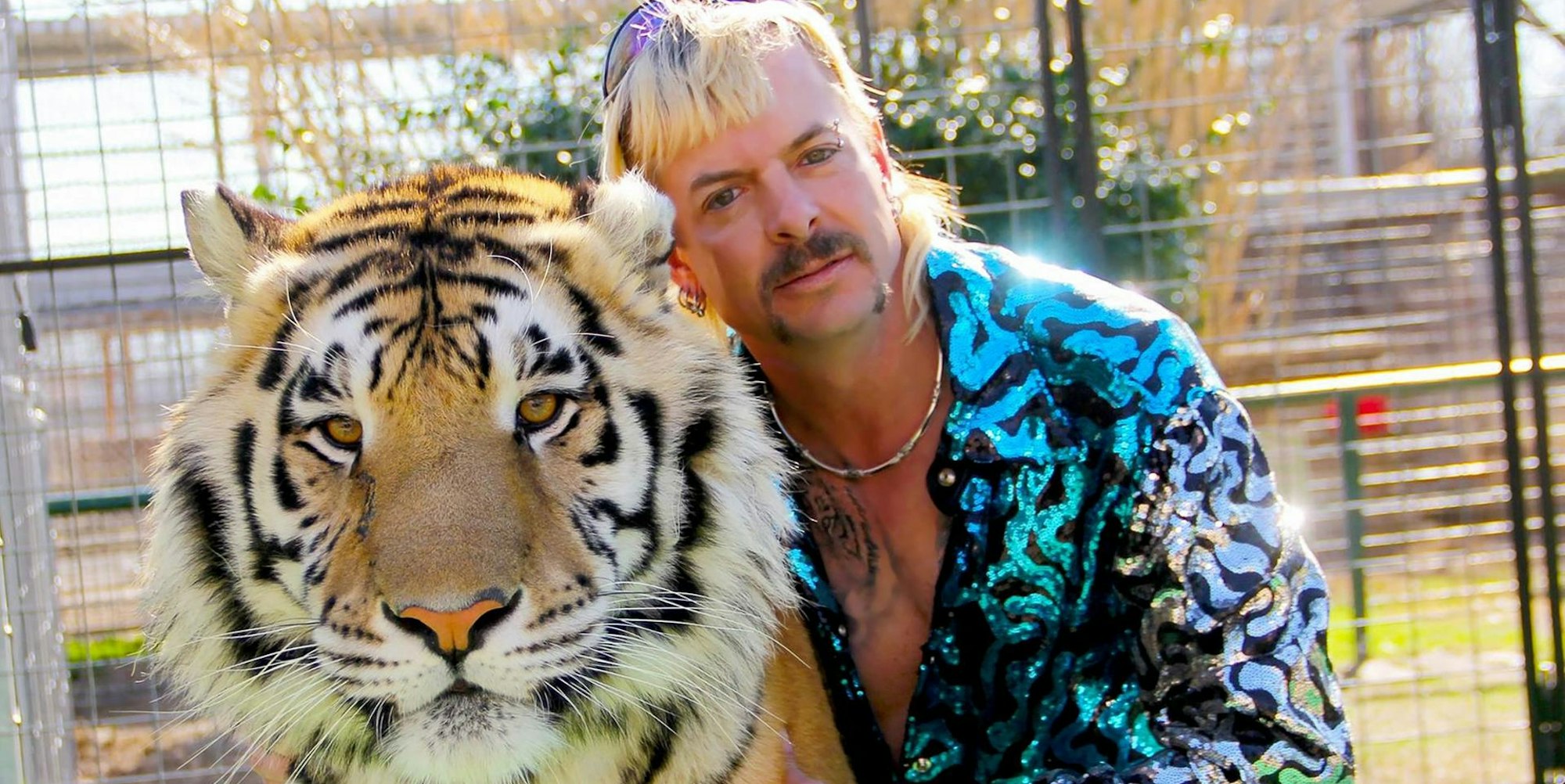 Tiger King 290122