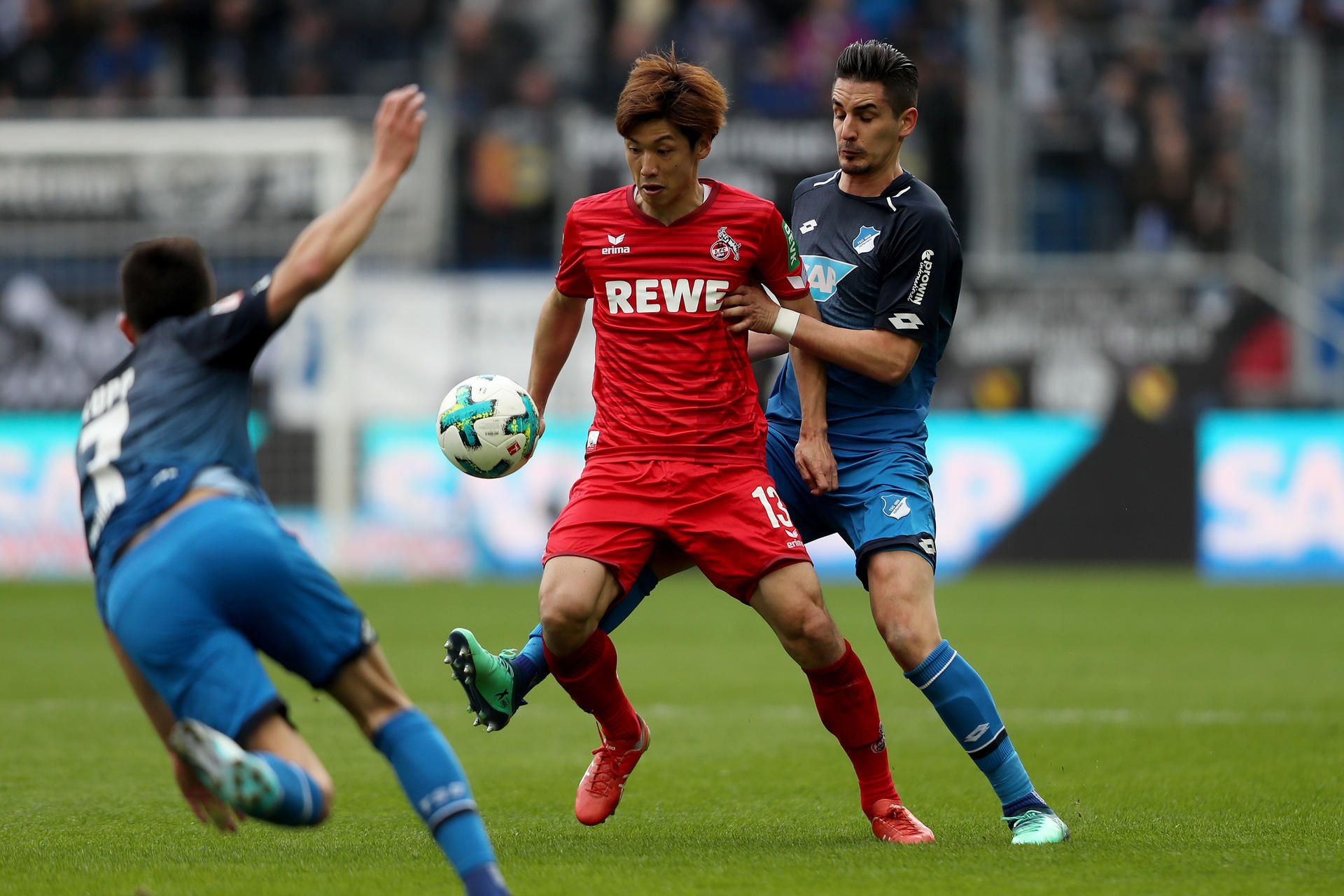 Osako gegen Hoffenheim