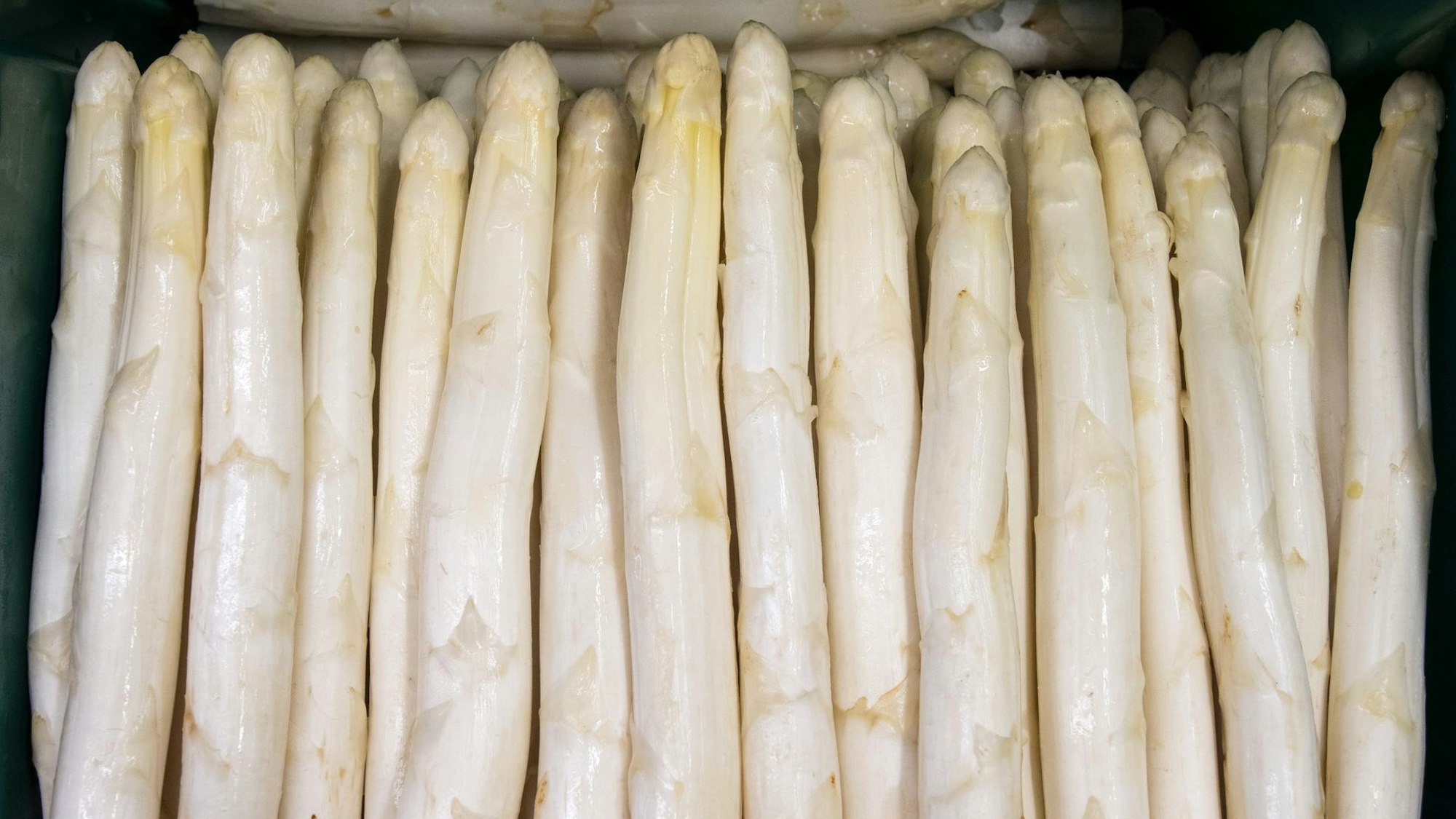 weißer Spargel aufgereiht