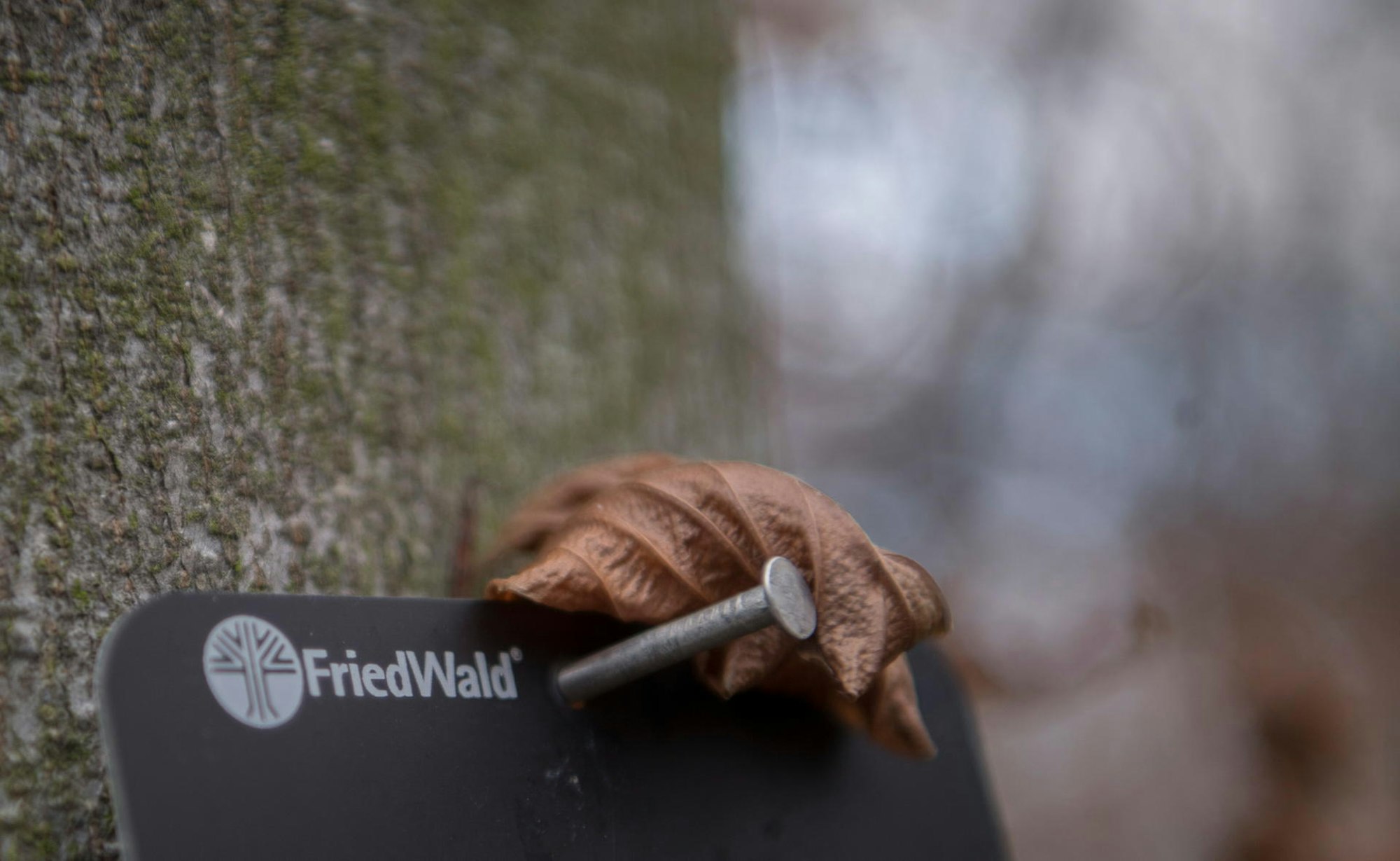 iversheim_friedwald-44