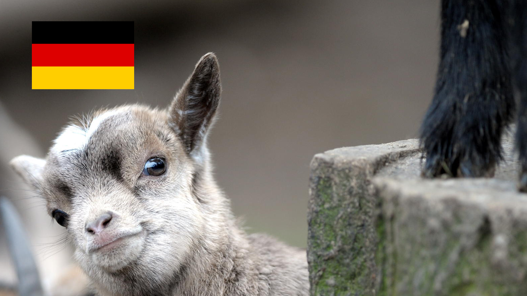 Neuer Inhalt