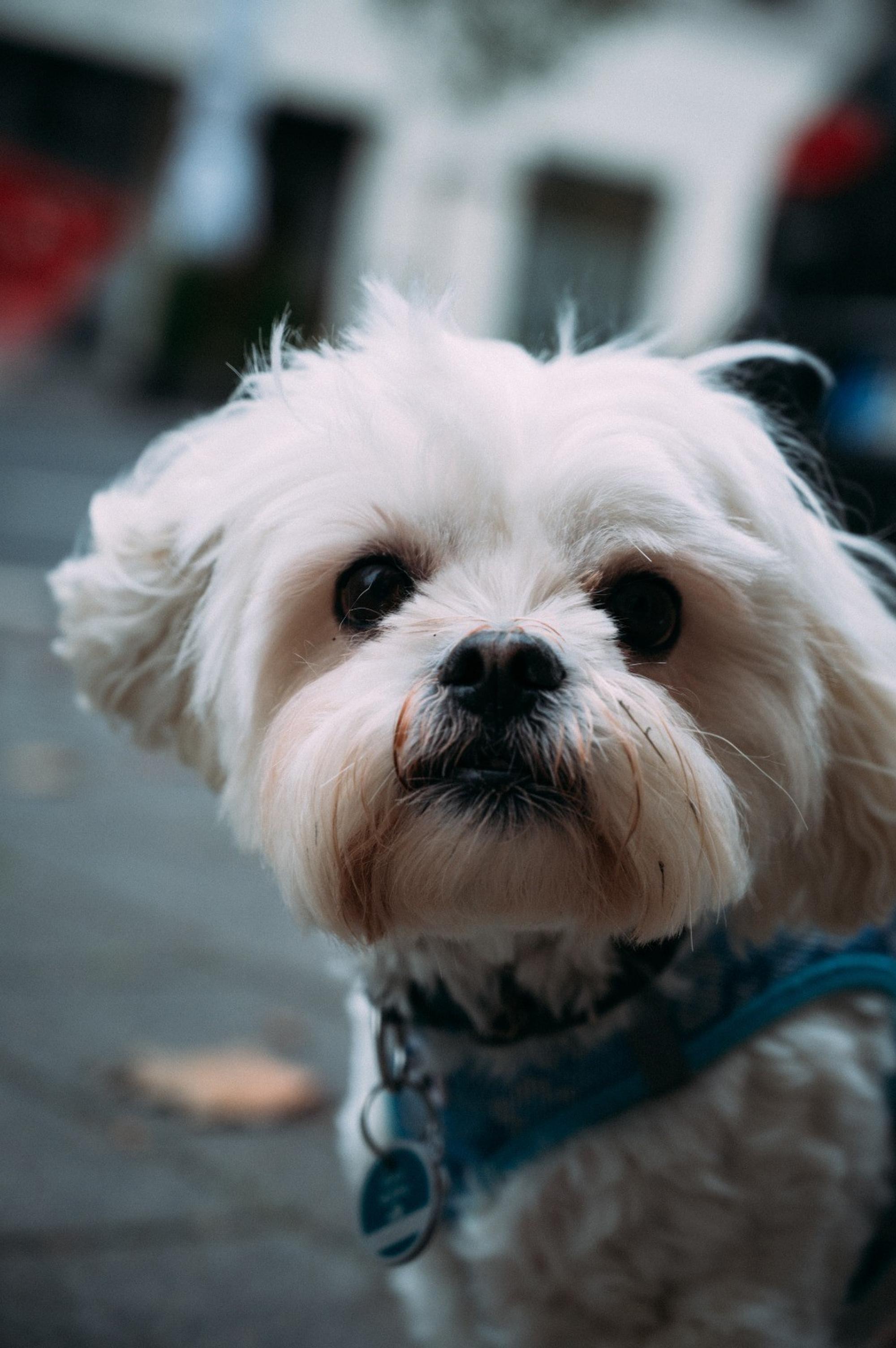Max