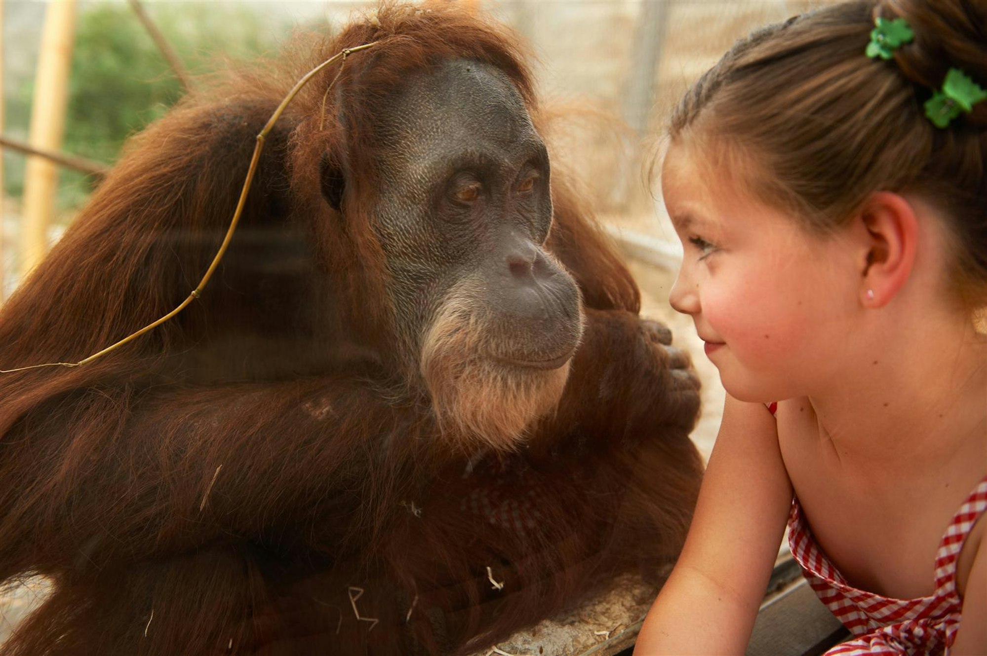 zoo gelsenkirchen guenstig