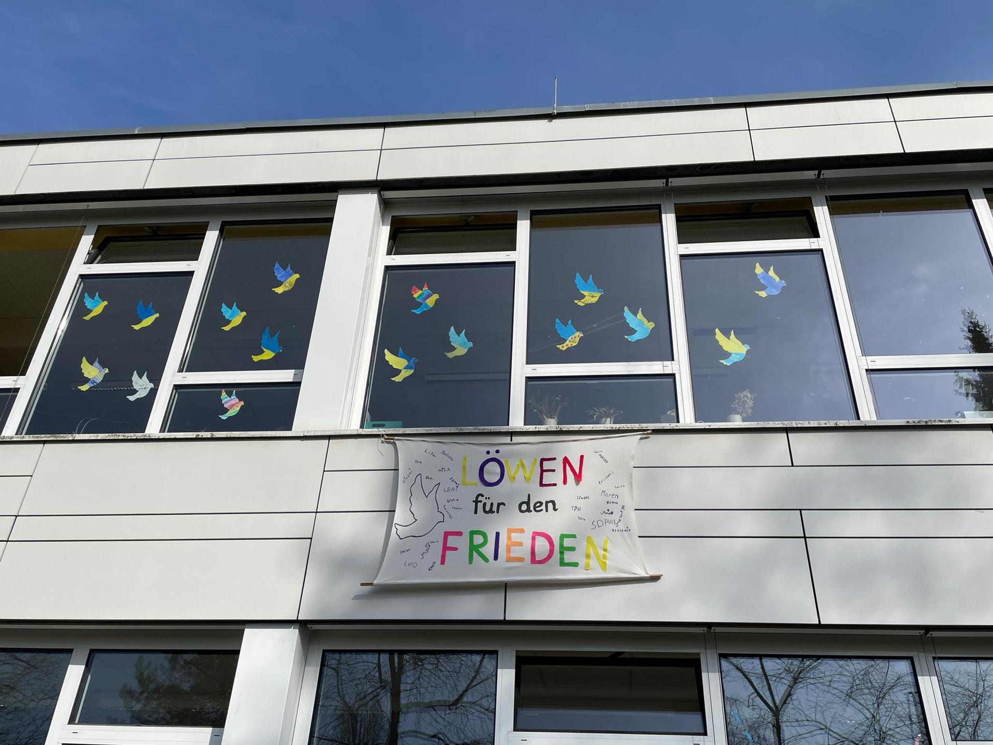 Neuer Inhalt (14)