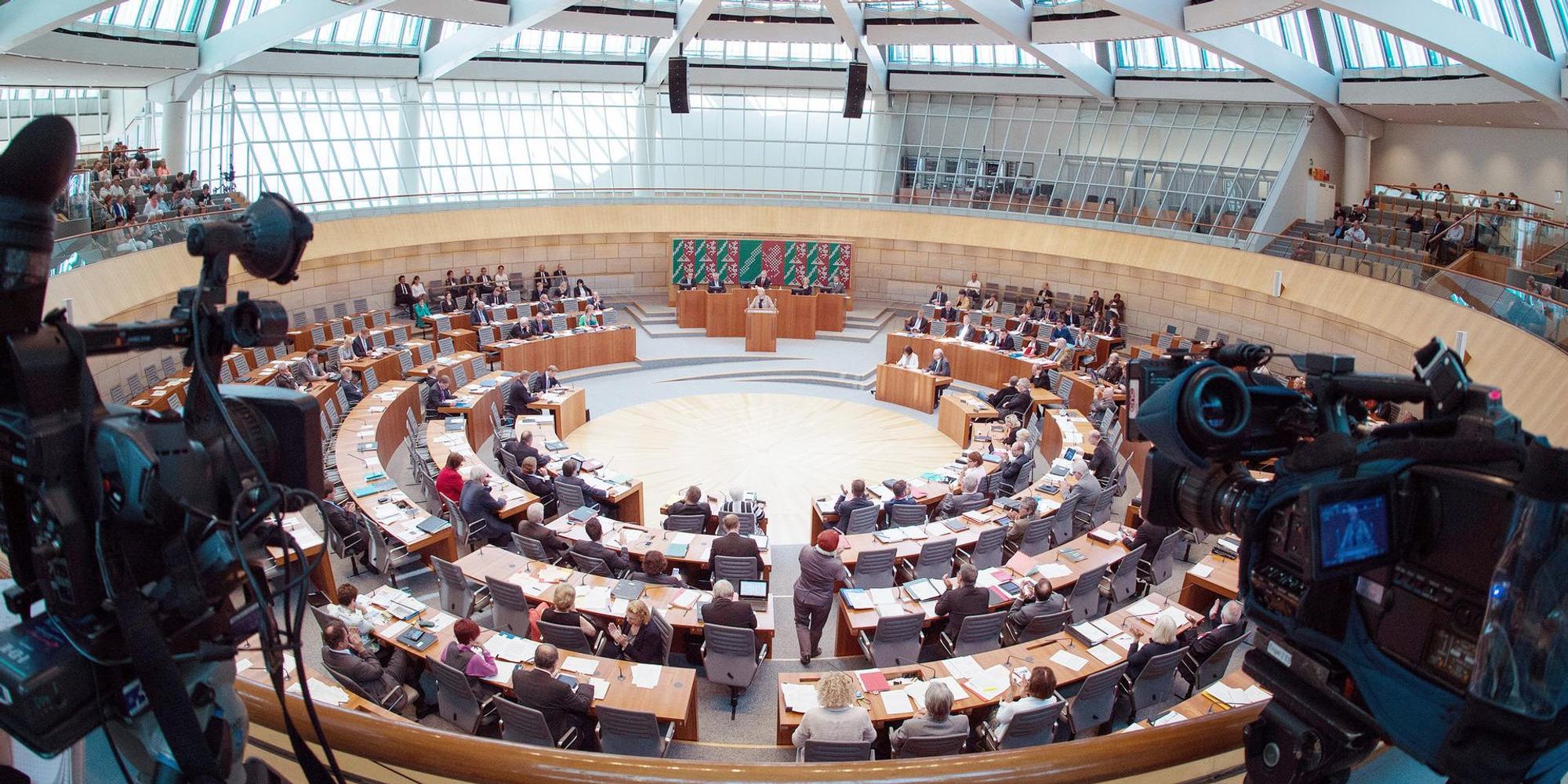 SPD und FDP
